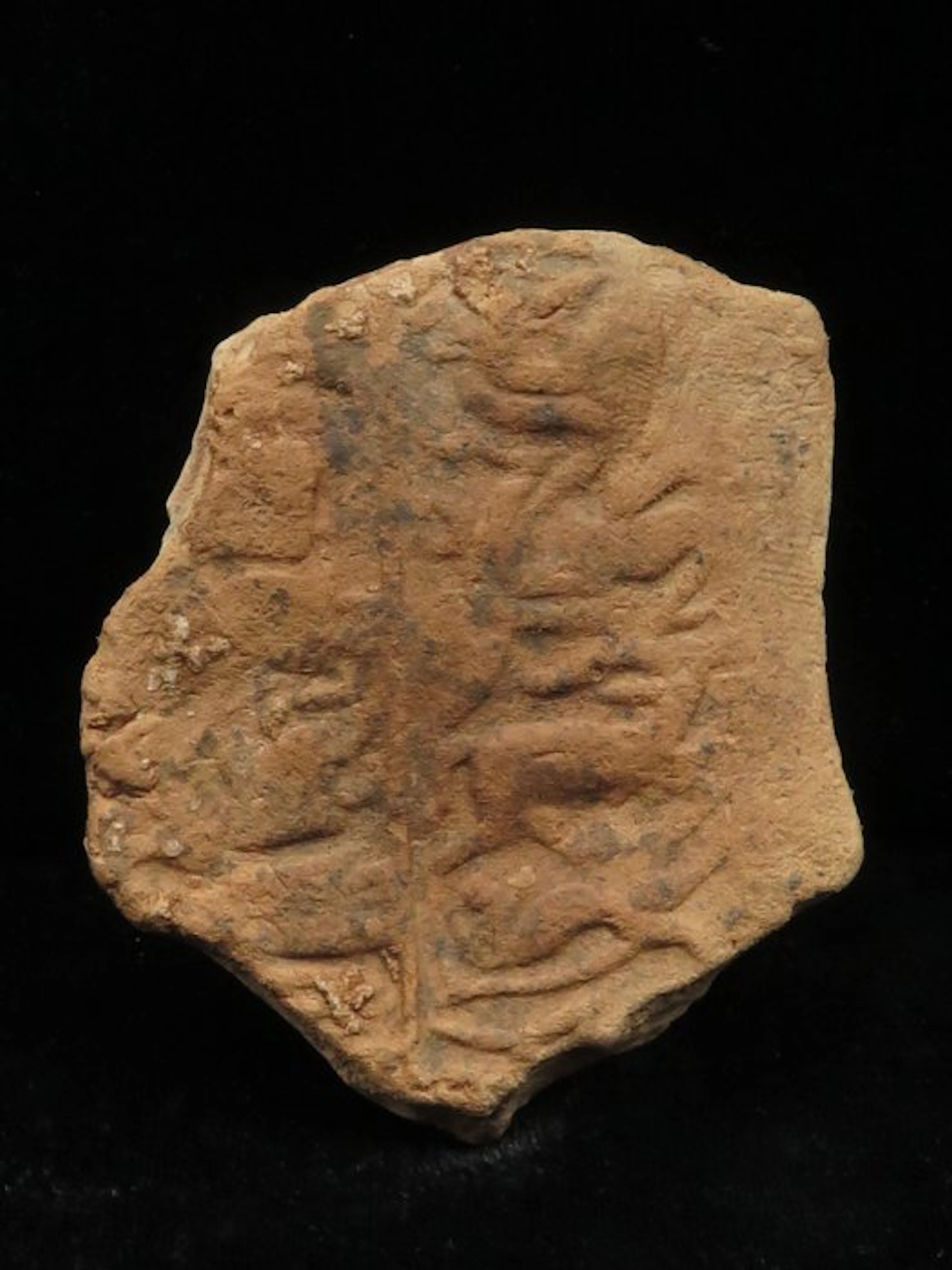 Mesopotamian Clay Tablet (fragment) with Animal...