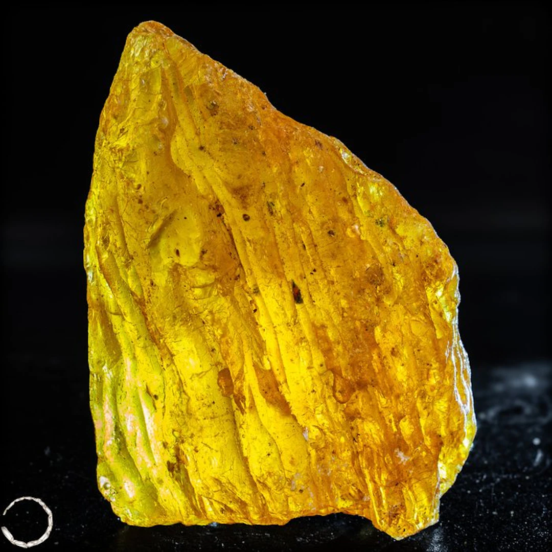 natural raw amber – rare luminescence with intense fluorescence- 201.95 g