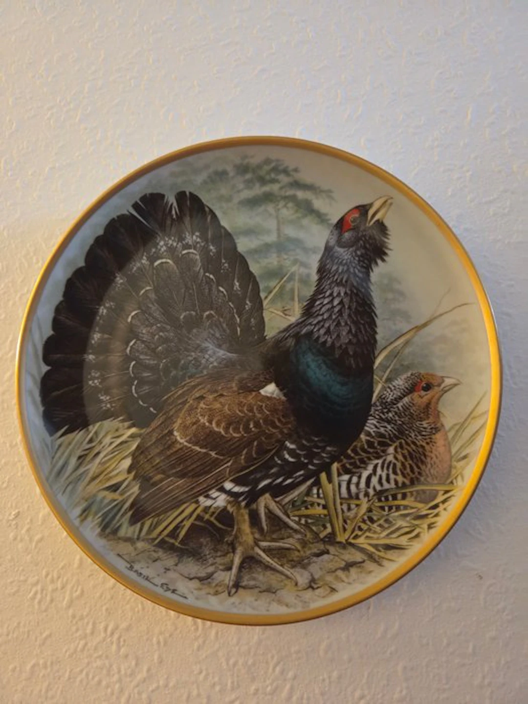 Basil Ede - Plate (12) - Porcelain - Gamebirds of the World
