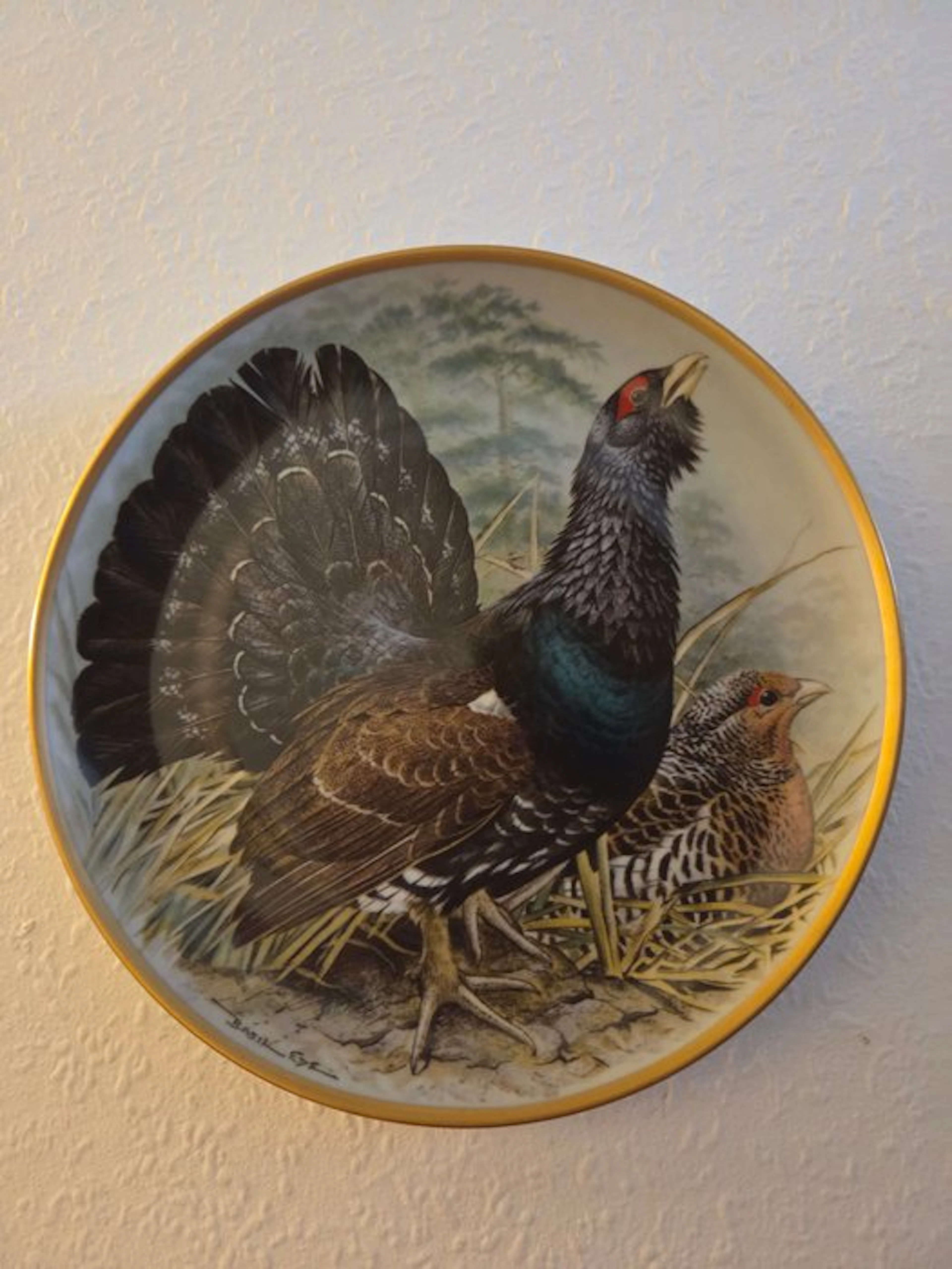 Basil Ede - Plate (12) - Porcelain - Gamebirds of the World