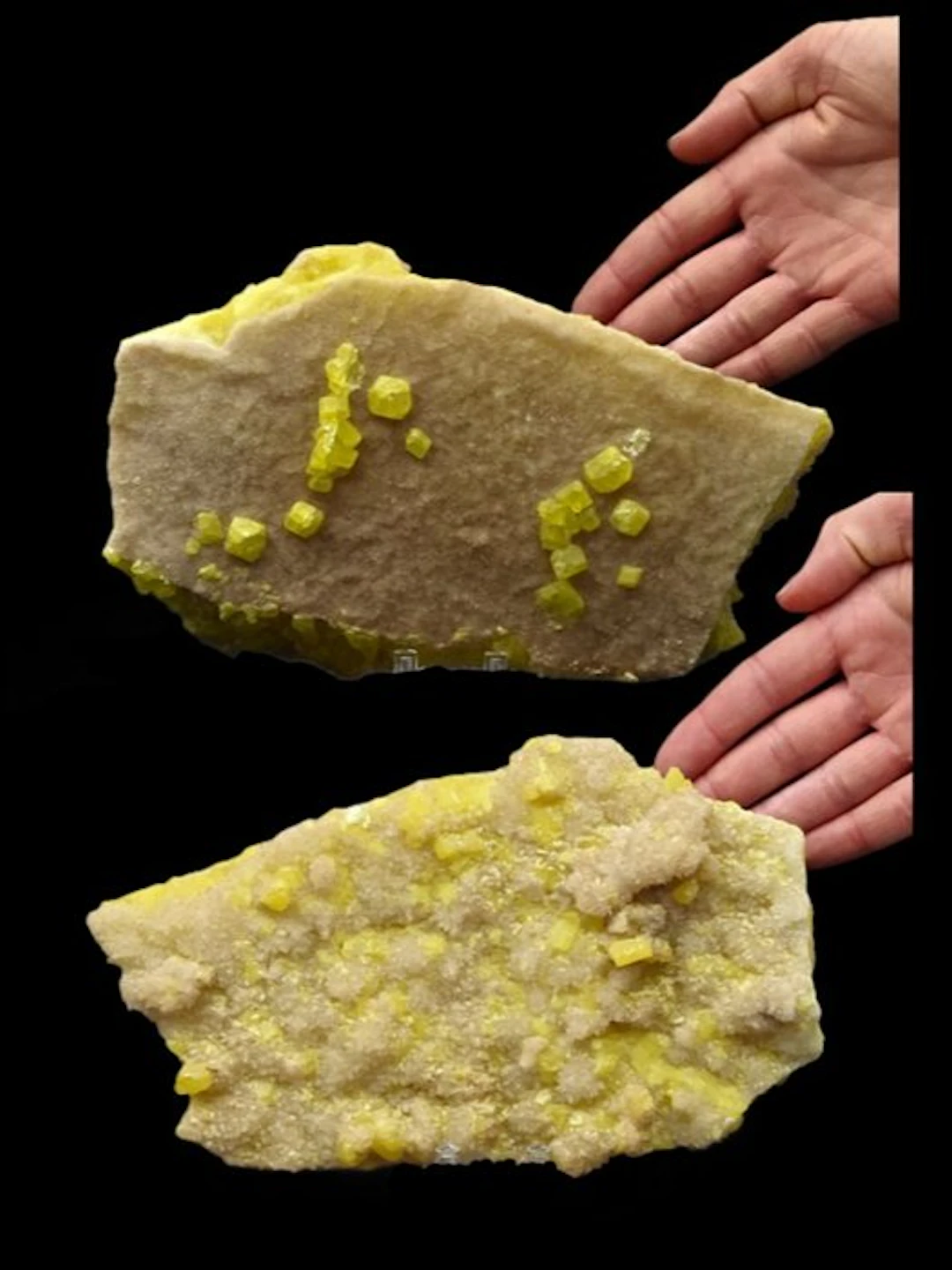 Aragonite speckled with yellow sulfur