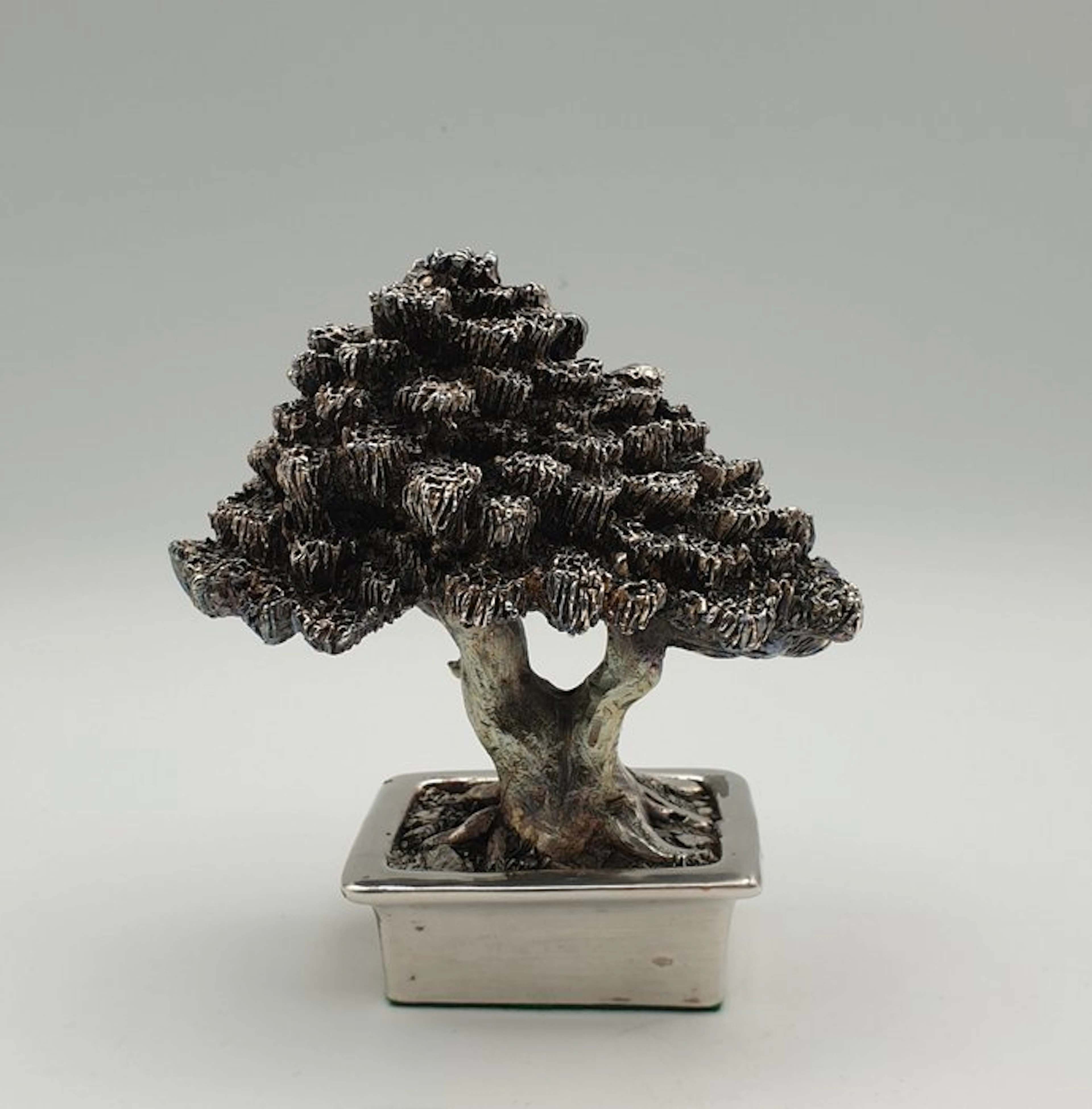 Grande bonsai rivestito in Argento - Figurine - Silver-plated