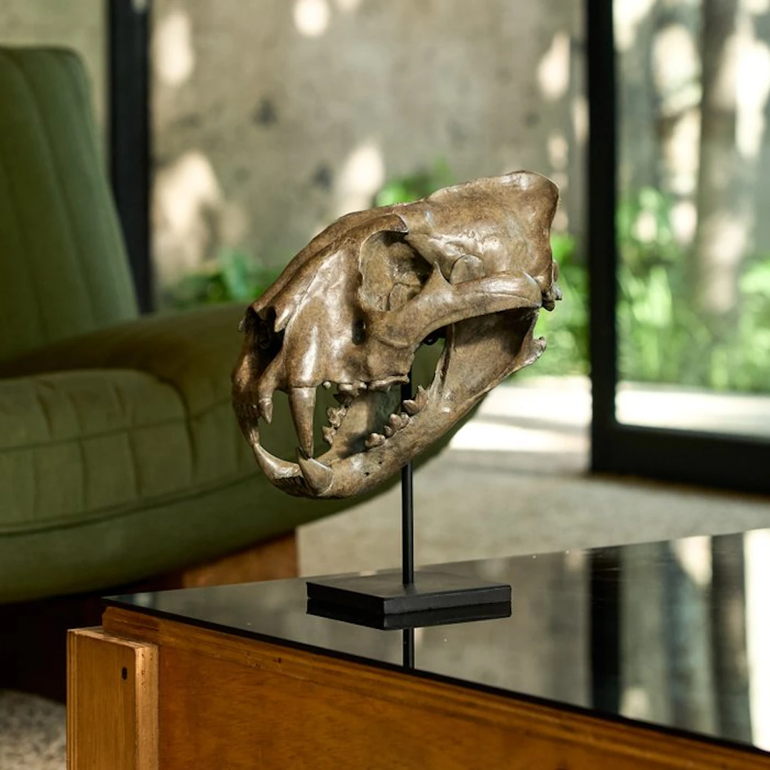 NO RESERVE PRICE - Replica of Tiger Skull on a custom...