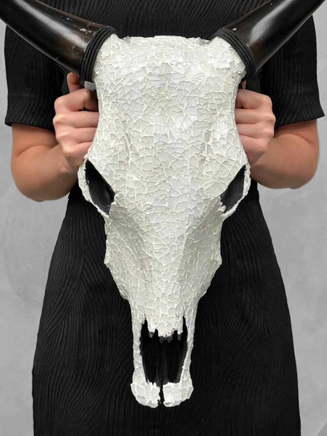 NO RESERVE PRICE - Stunning Cow skull with Glass Mosaic...