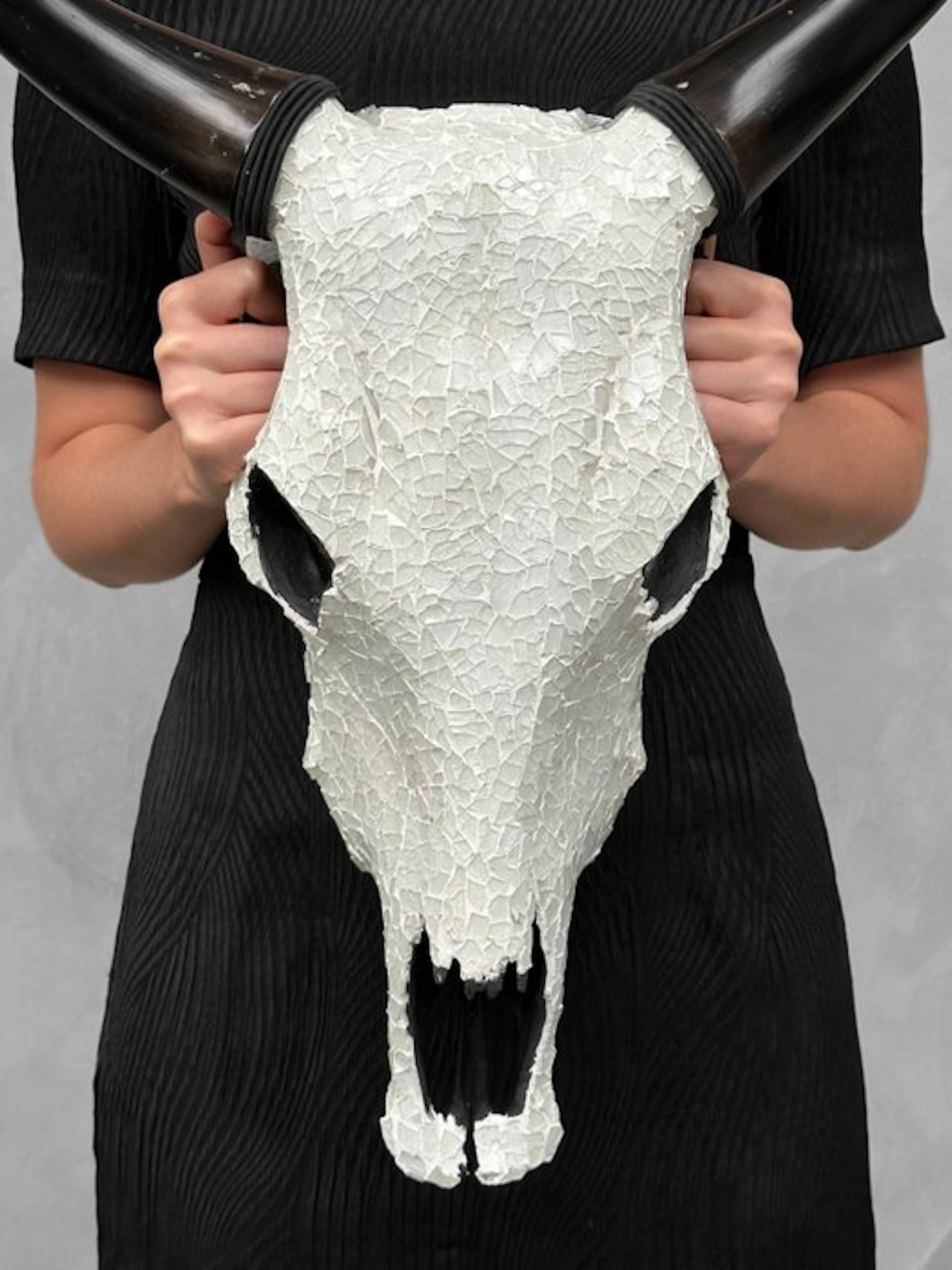 NO RESERVE PRICE - Stunning Cow skull with Glass Mosaic...
