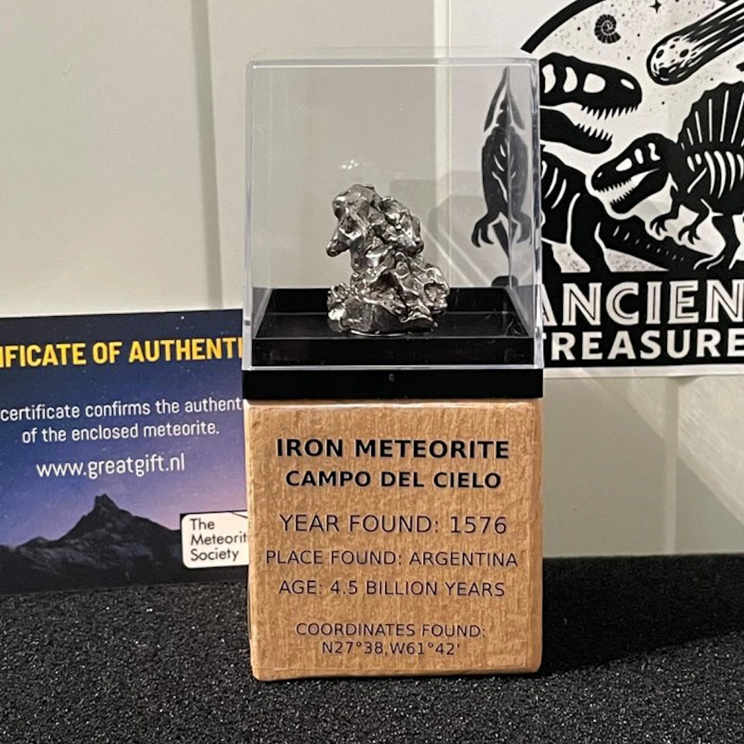 Magnificent Campo Del Cielo iron meteorite - On a...