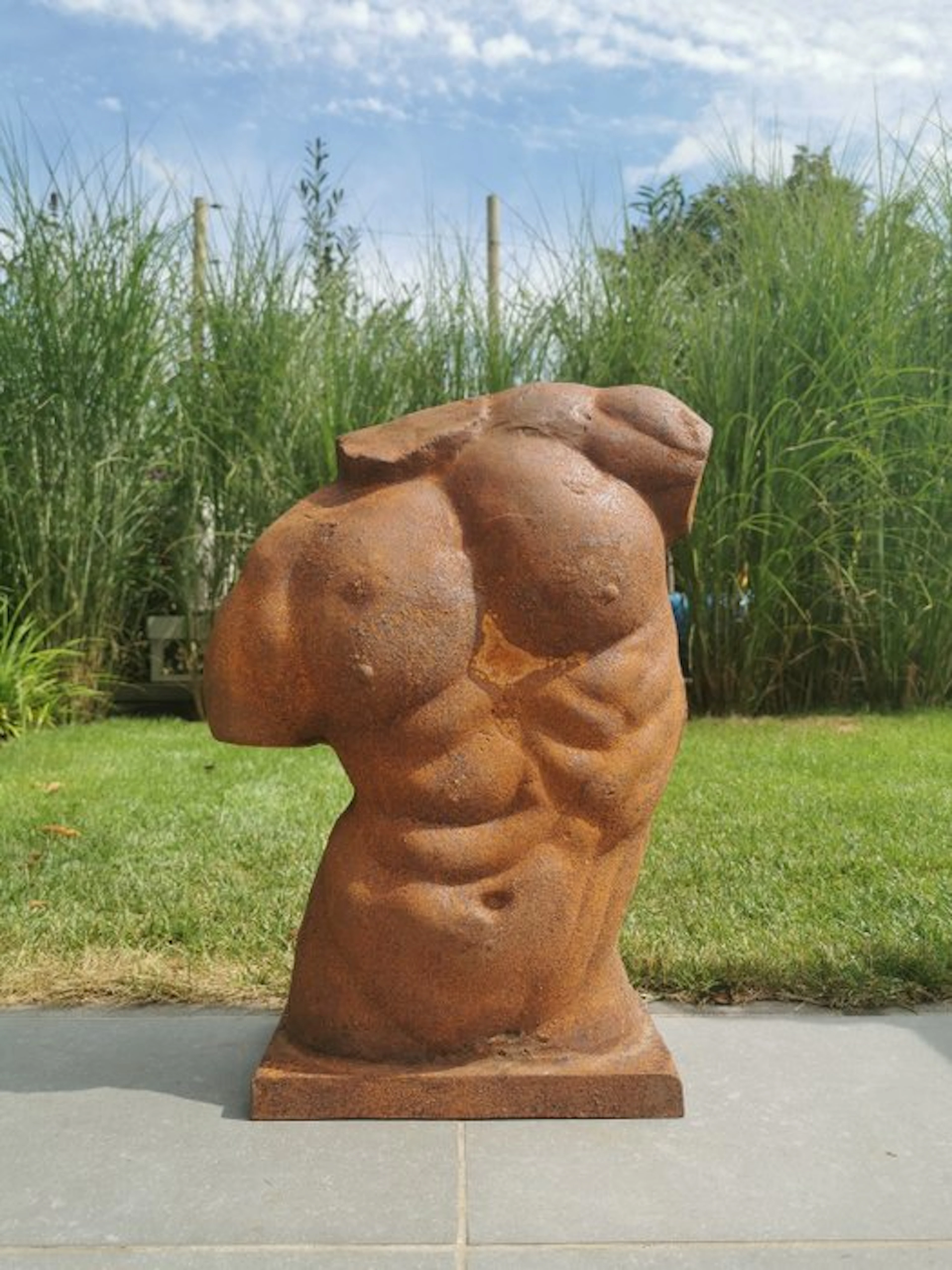 Sculpture, A male torso - 52 cm - Iron