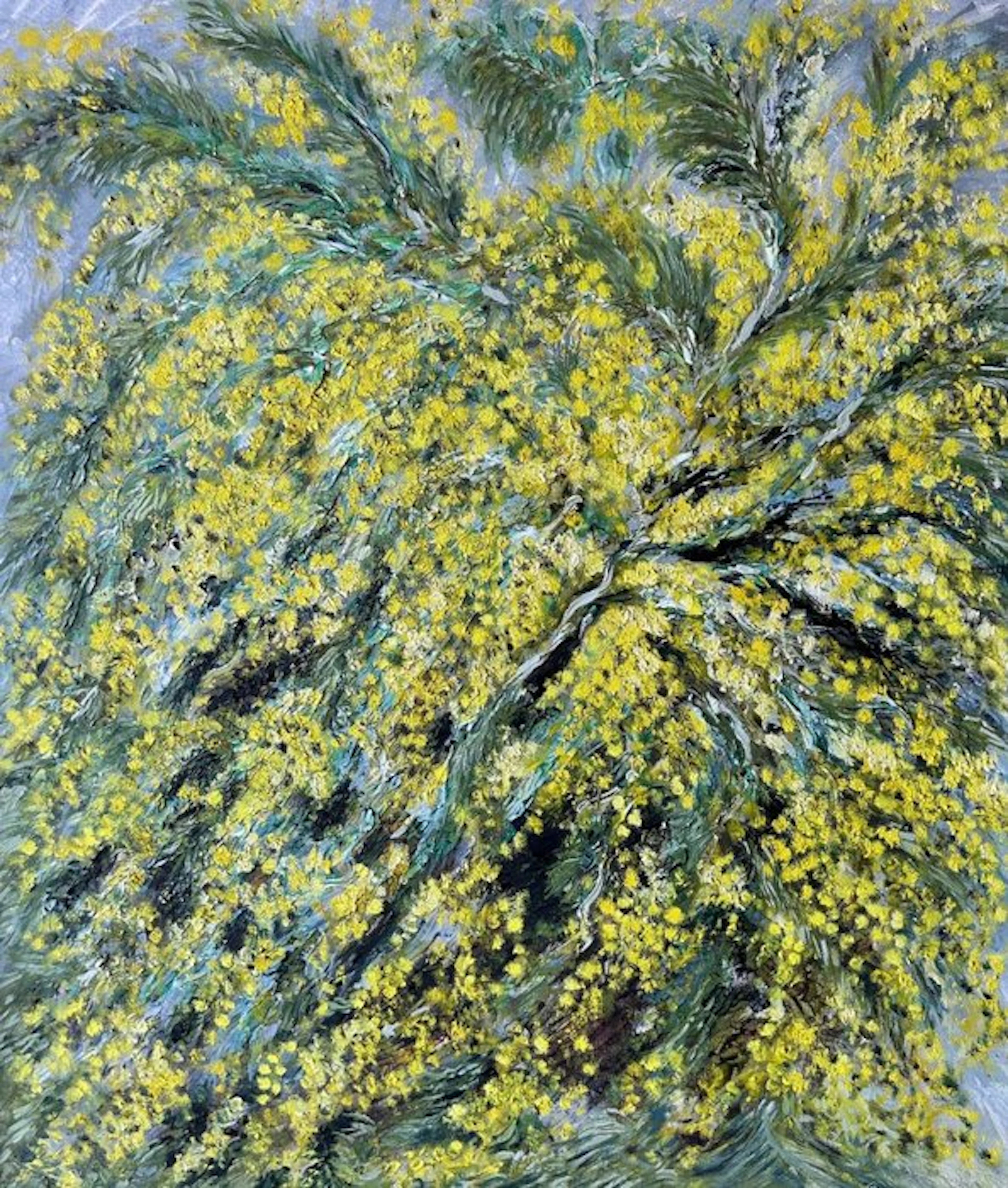 Carlo Brenna (1935) - Esplosione di mimose