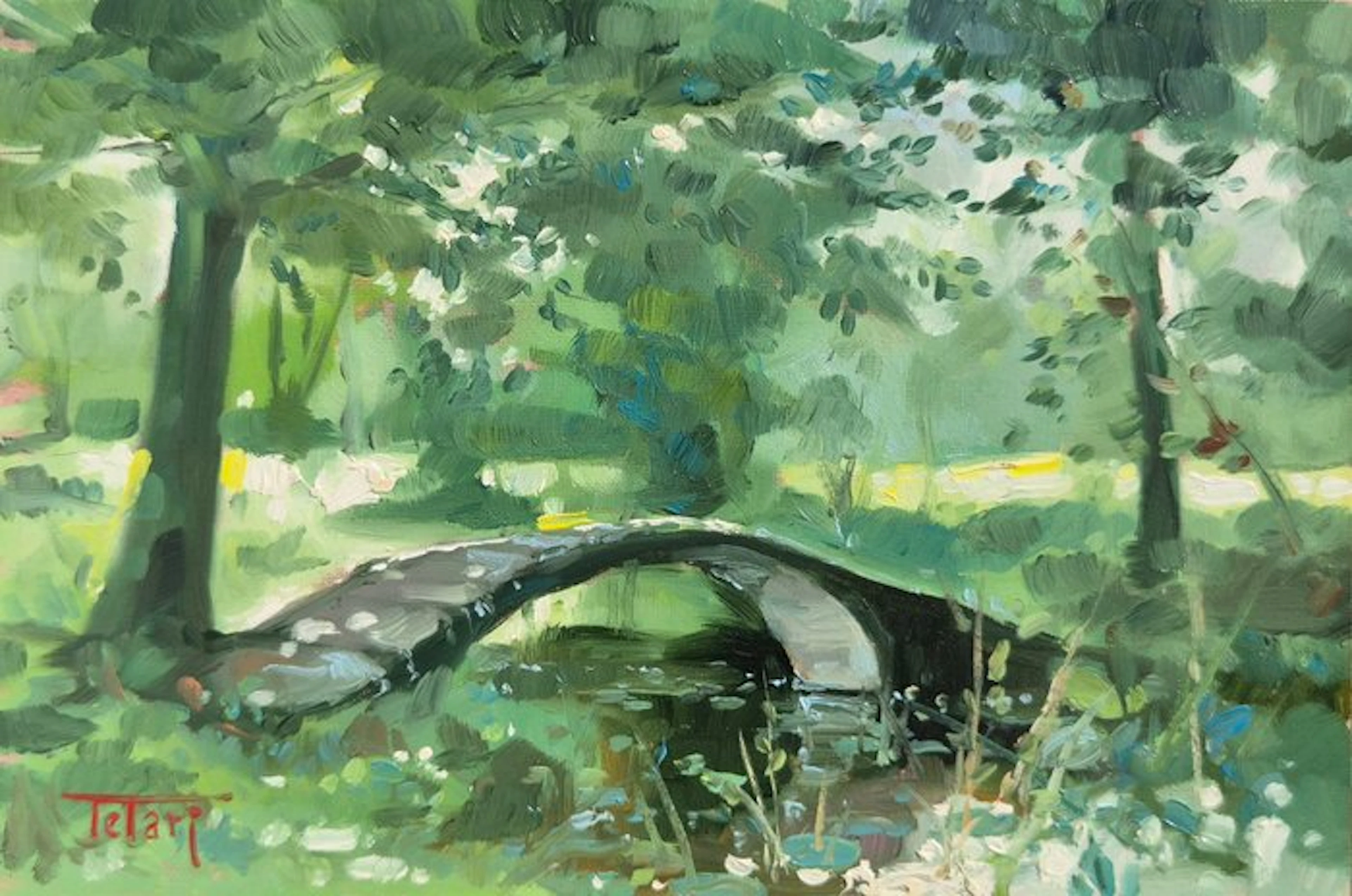 Michele Telari - The bridge