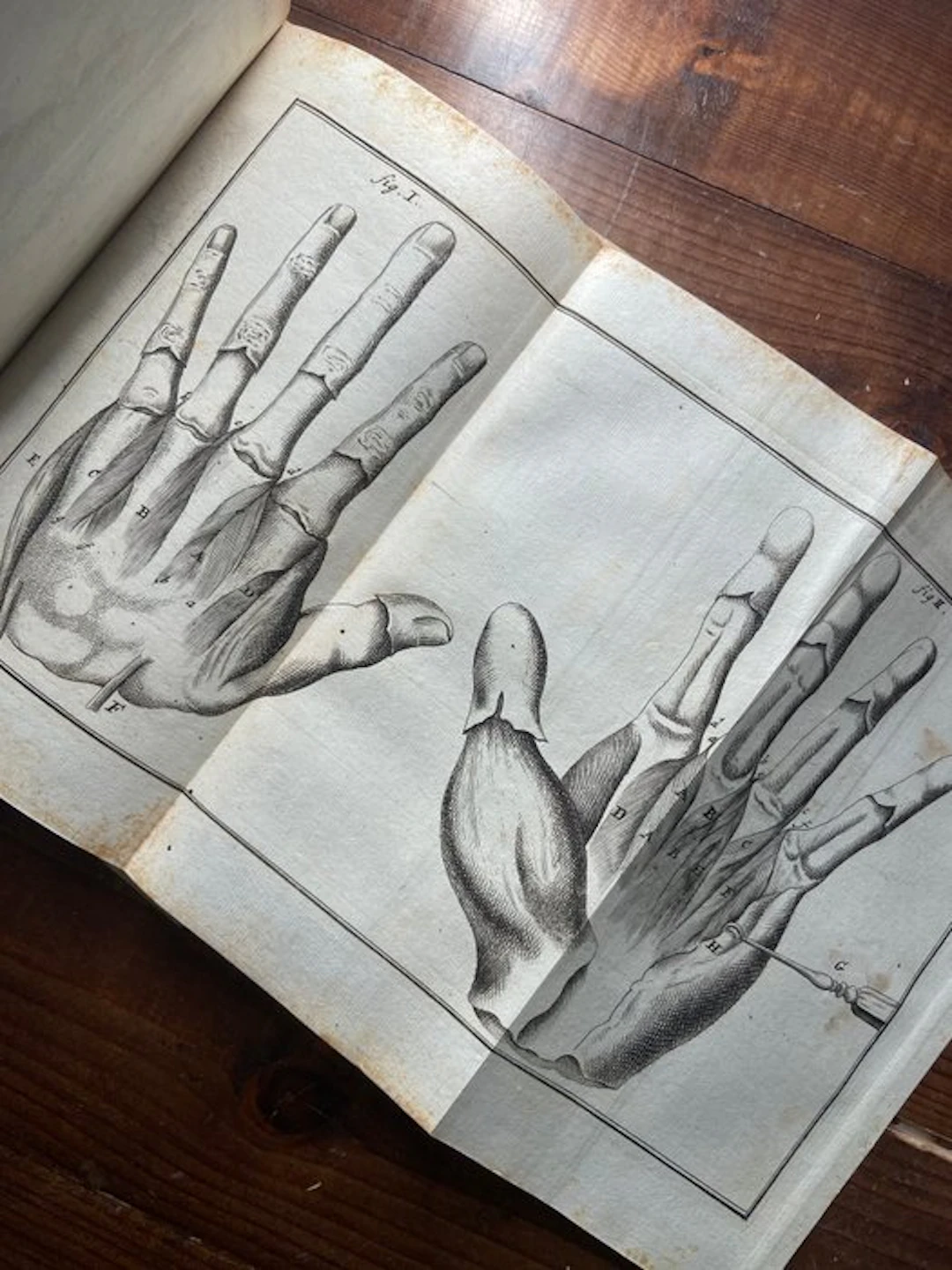 Laurentius Heister - Compendium Anatomicum totam rem...