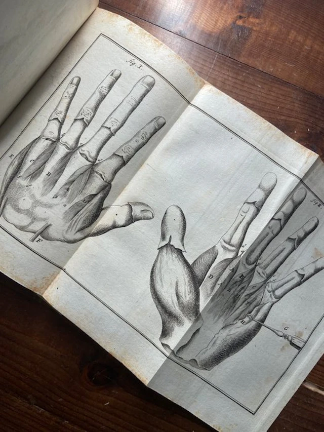 Laurentius Heister - Compendium Anatomicum totam rem...
