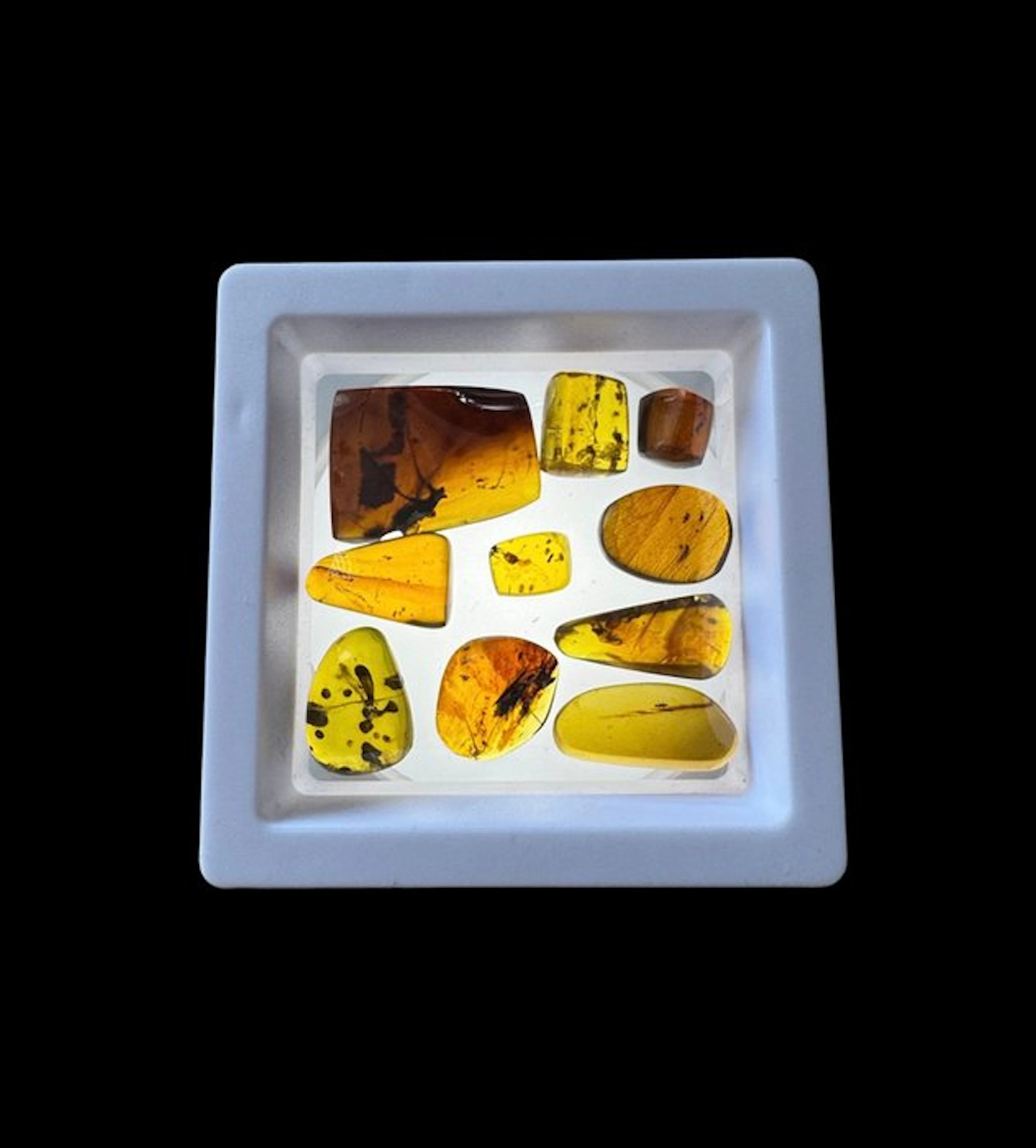 Burmese amber - Amber - 10 Burmese Amber Pieces with...