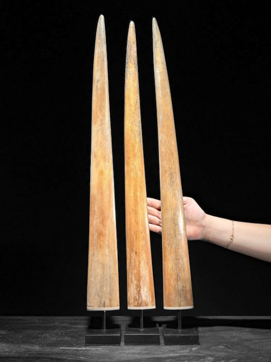 NO RESERVE PRICE - Stunning Large set of 3 of swordfish...