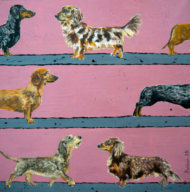 Bazévian DelaCapucinière - Dachshund dogs parade 2...