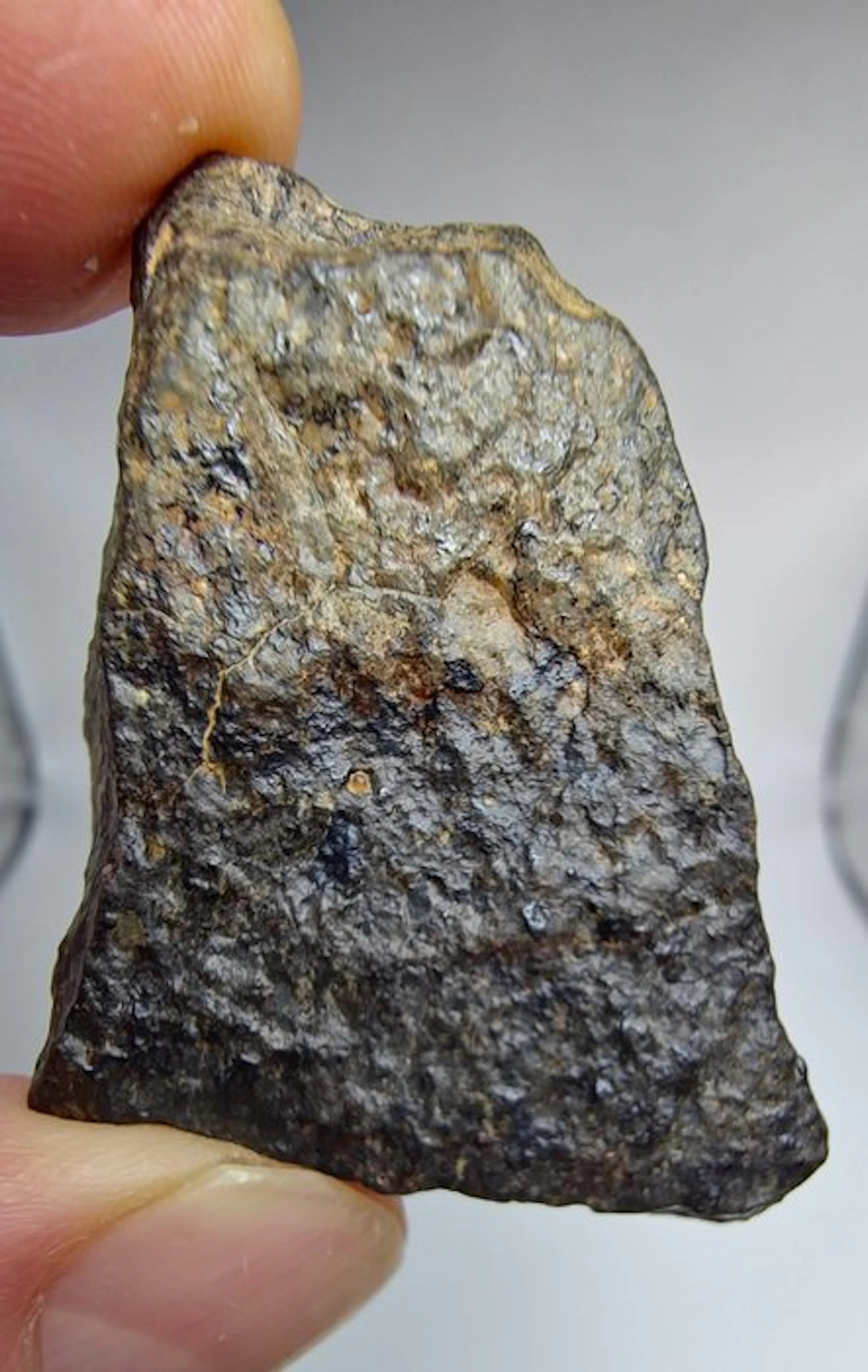 Meteorite