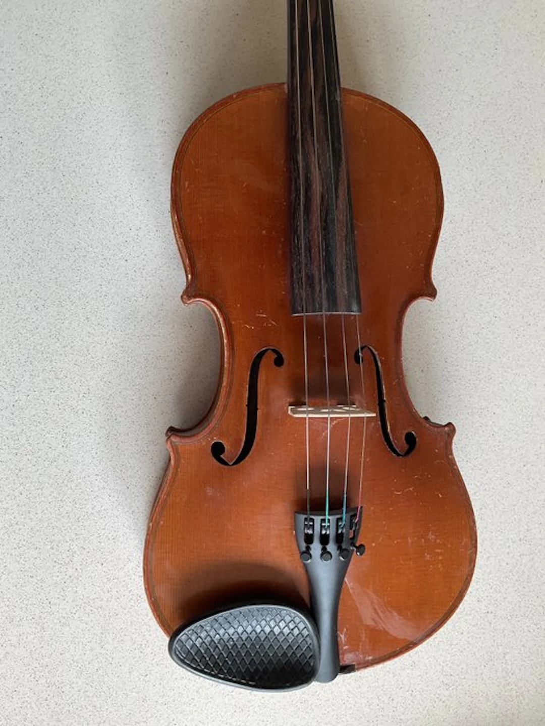 Labelled Albert August HEBERLEIN - Stradivari - - Violin - Germany