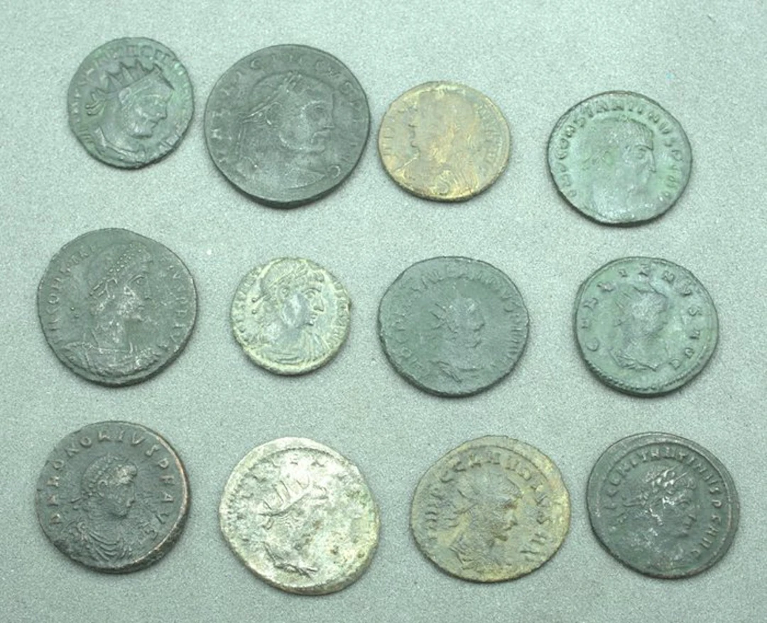 Ancient Roman Bronze Coin Collection (12) (No reserve price)