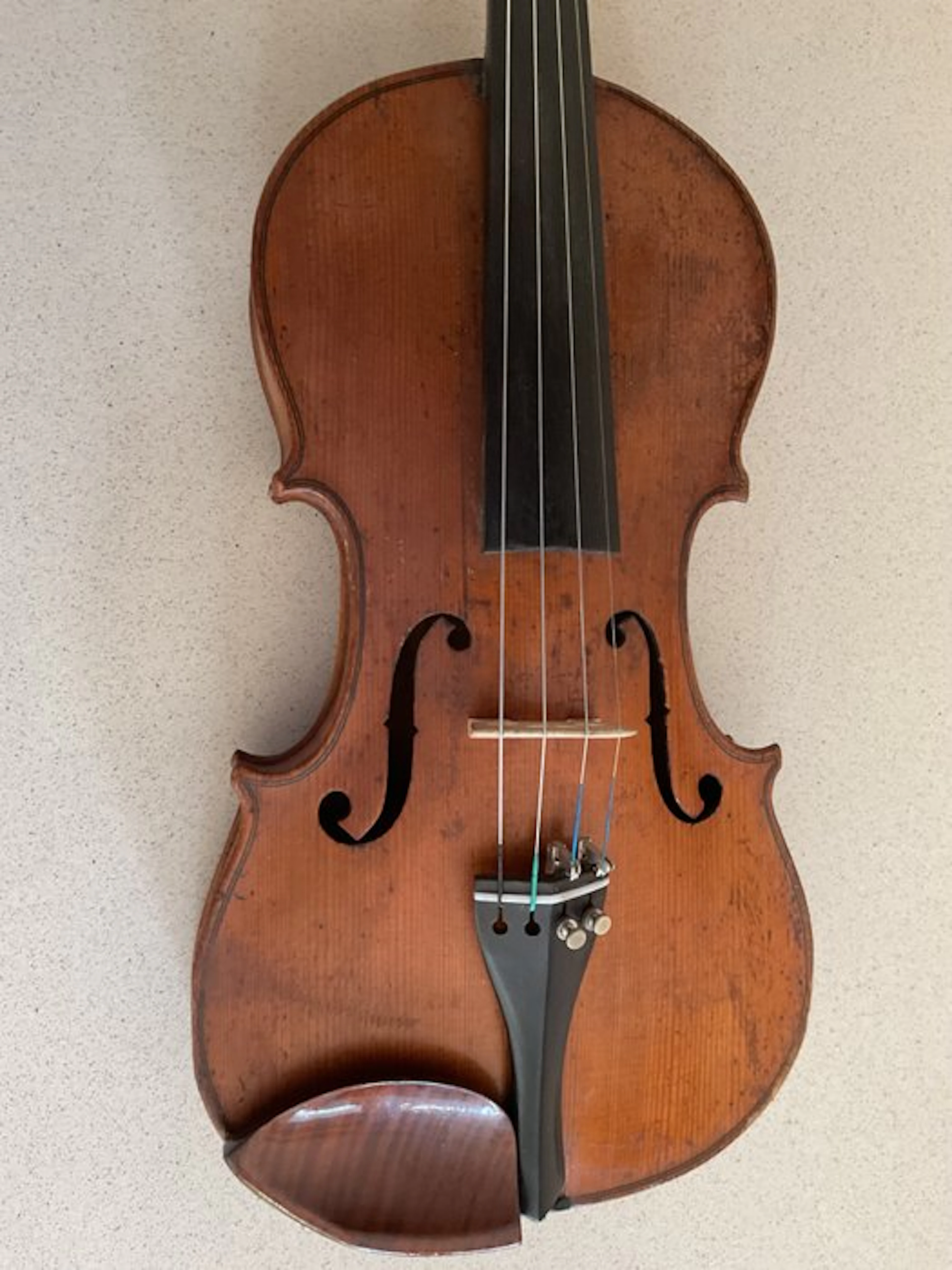 Unknown - - Violin - Czechia