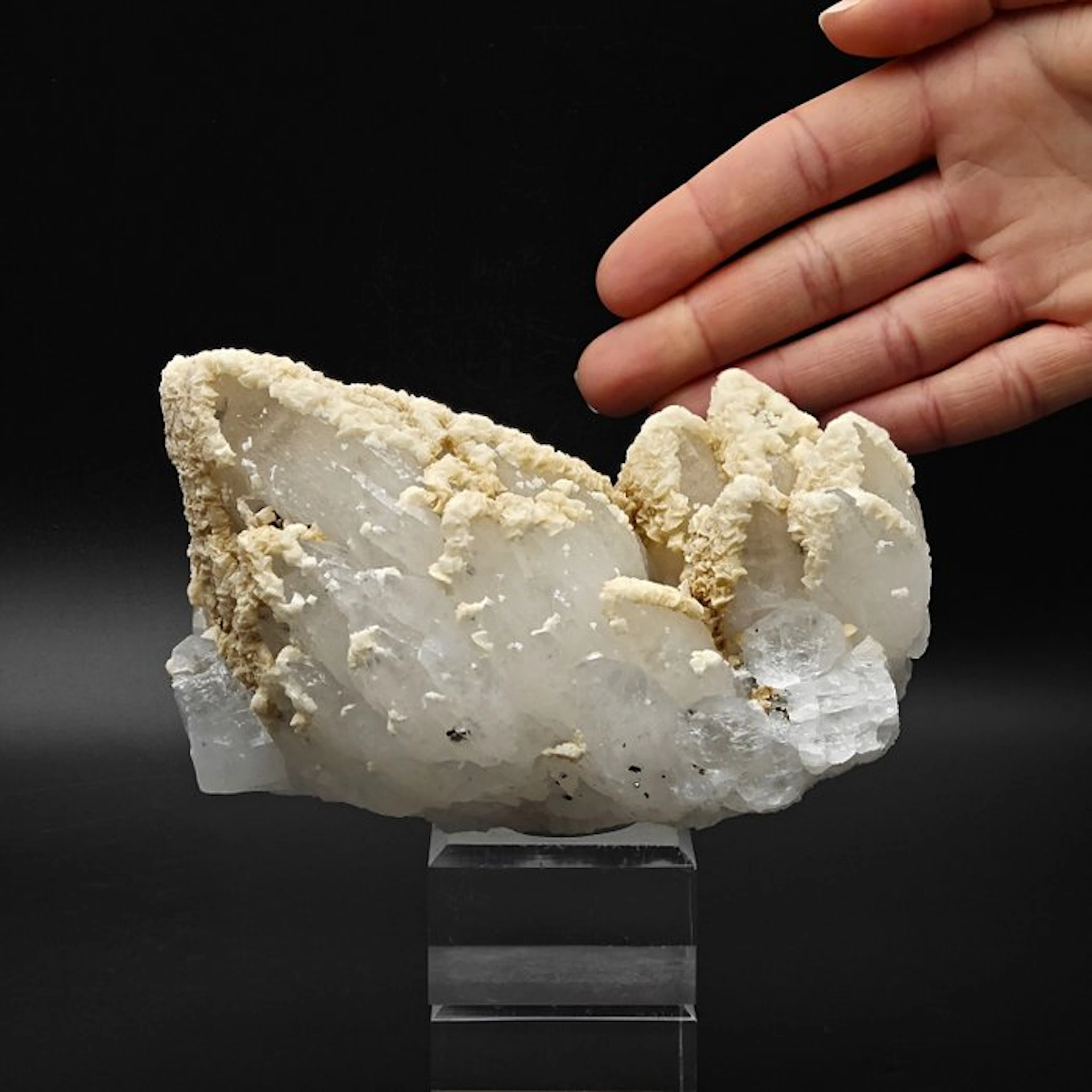 Milky Cactus Quartz
