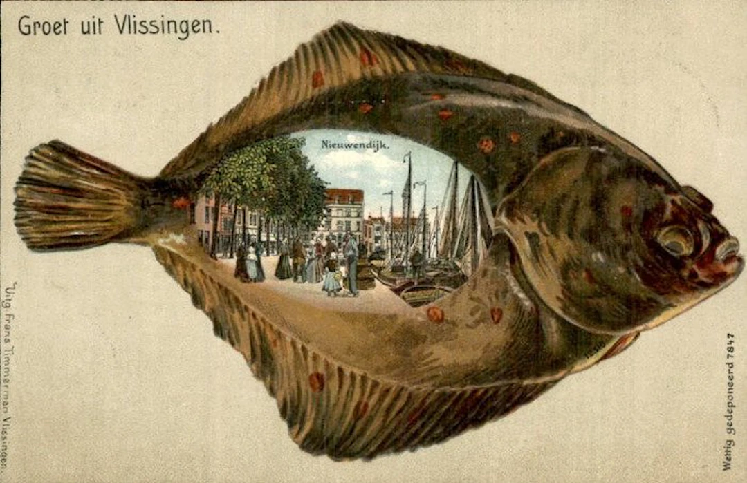 Netherlands - Vlissingen - Postcard (127) - 1900-1999