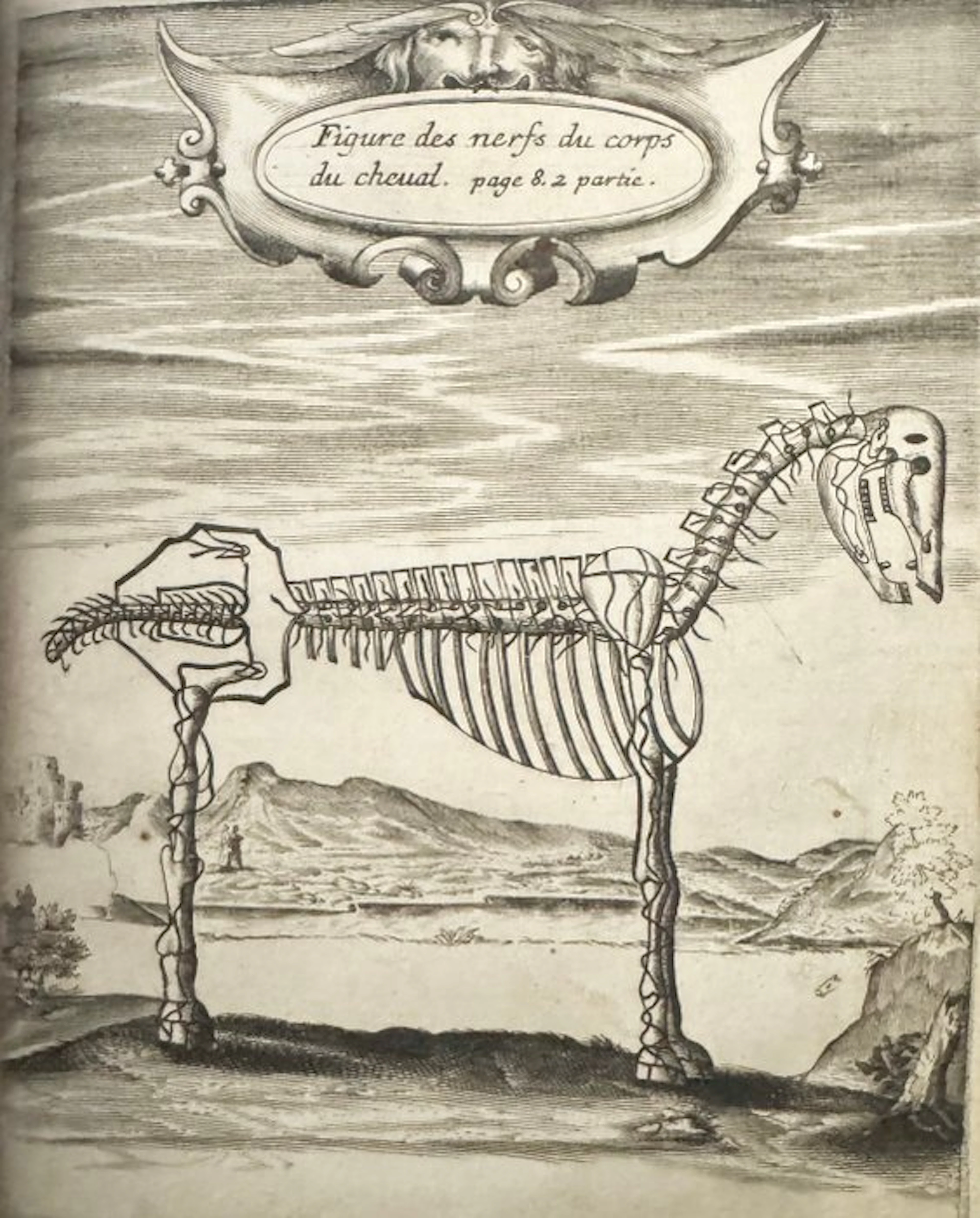 Markham MOLTO RARO - LE NOUVEAU ET SCAVANT MARESCHAL - 1666