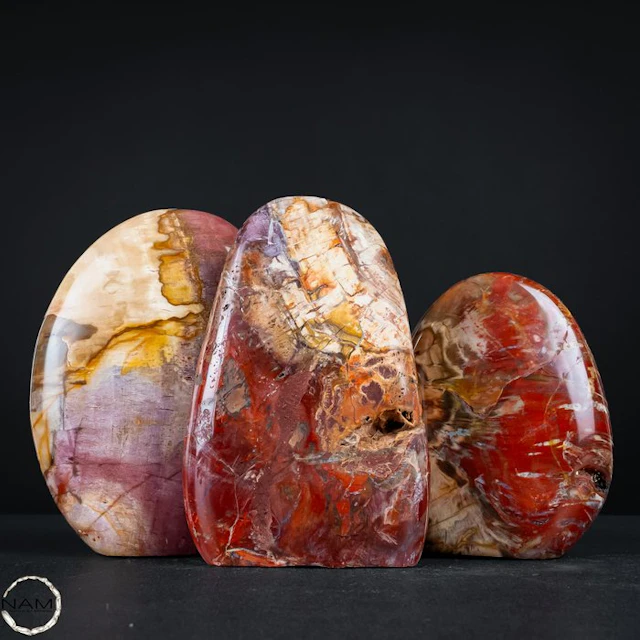 Natural petrified wood set from Madagascar – Millions of...