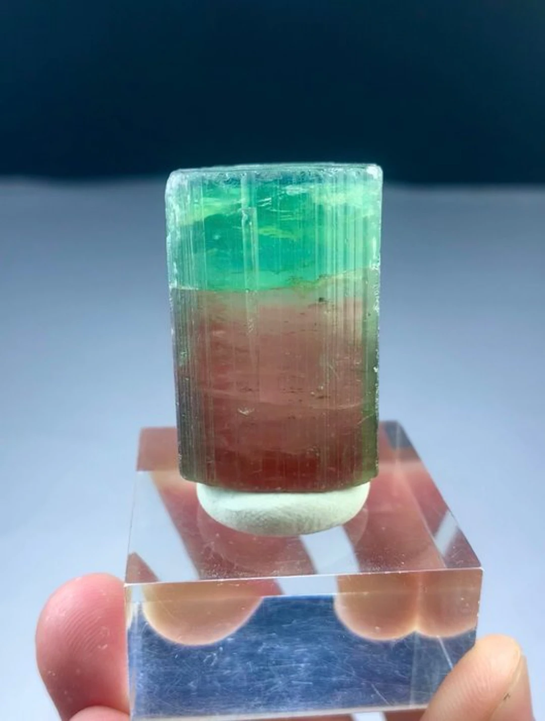 Bicolour watermelon tourmaline Crystal - Height: 40 mm...