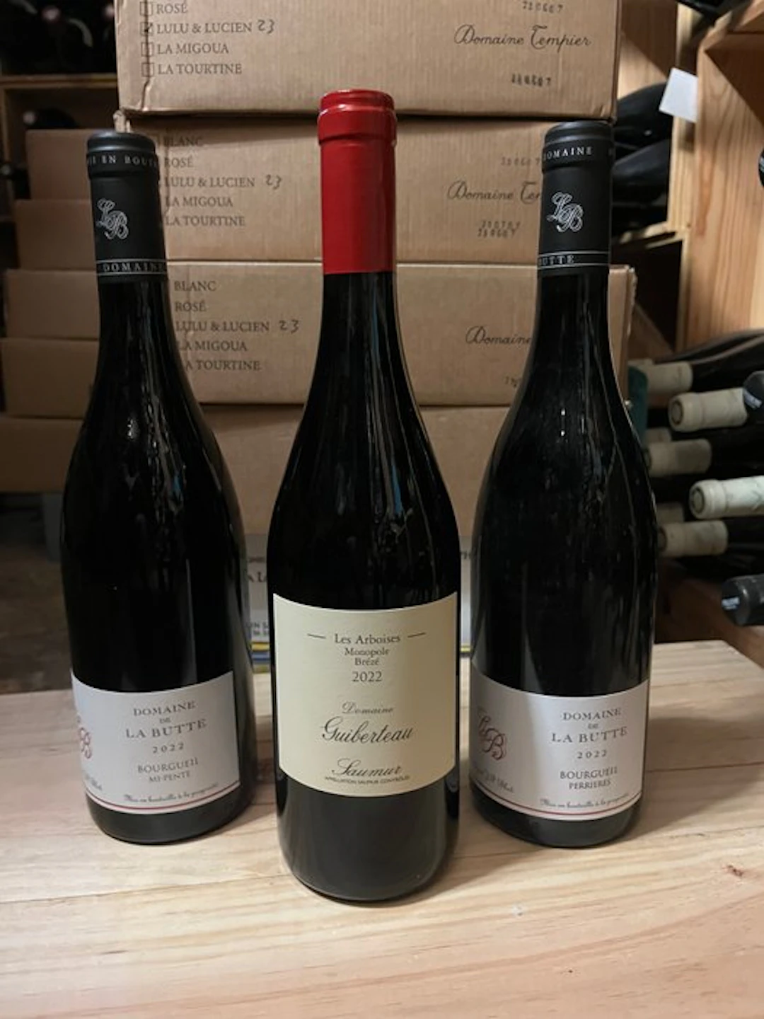 2022 Domaine Guiberteau Saumur "Les Arboises Brézé"