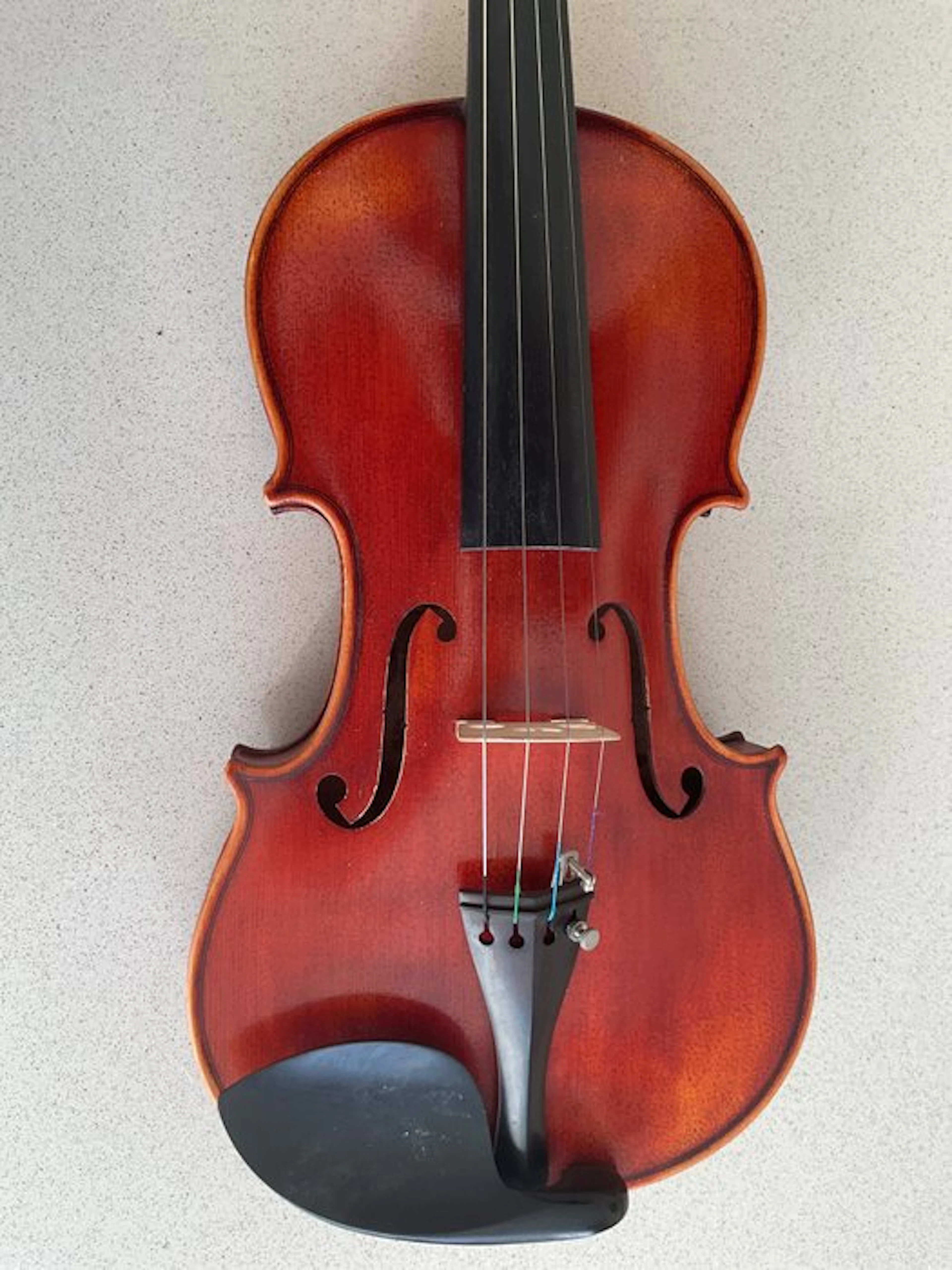 Unknown - - Violin - Germany
