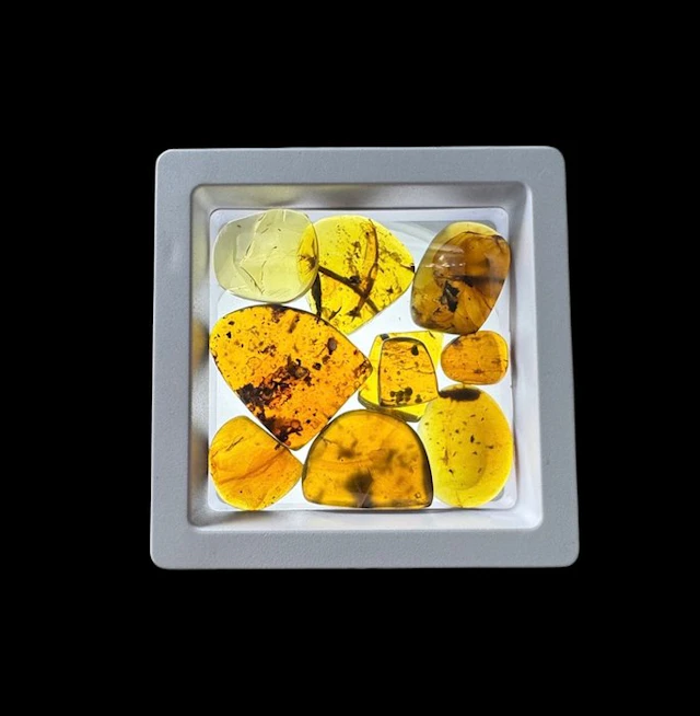 Burmese amber - Amber - Burmese Amber – 10 Pieces with...