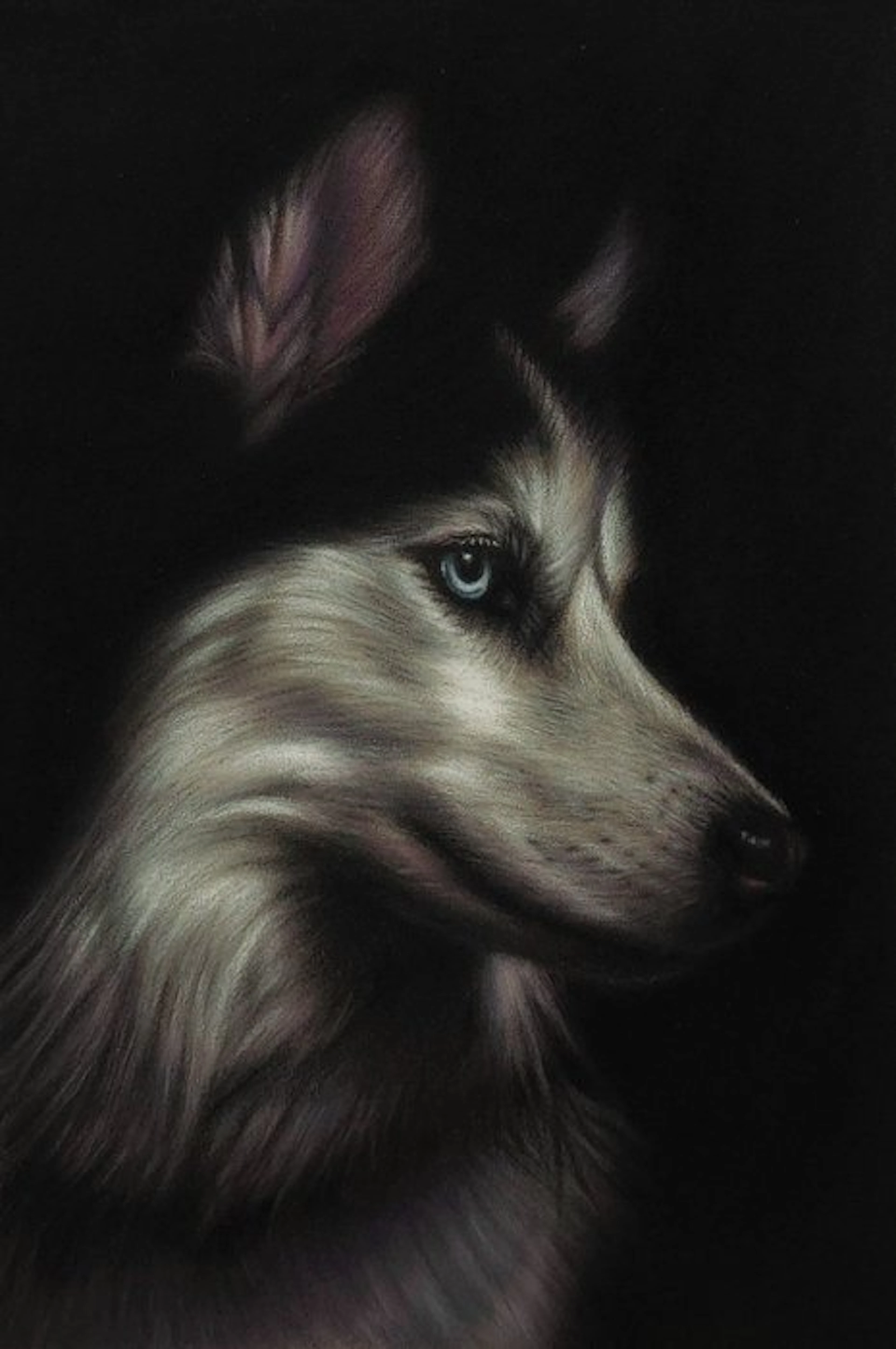 Moira Lazio - Siberian Husky – Hyperrealistic Pastel Miniature