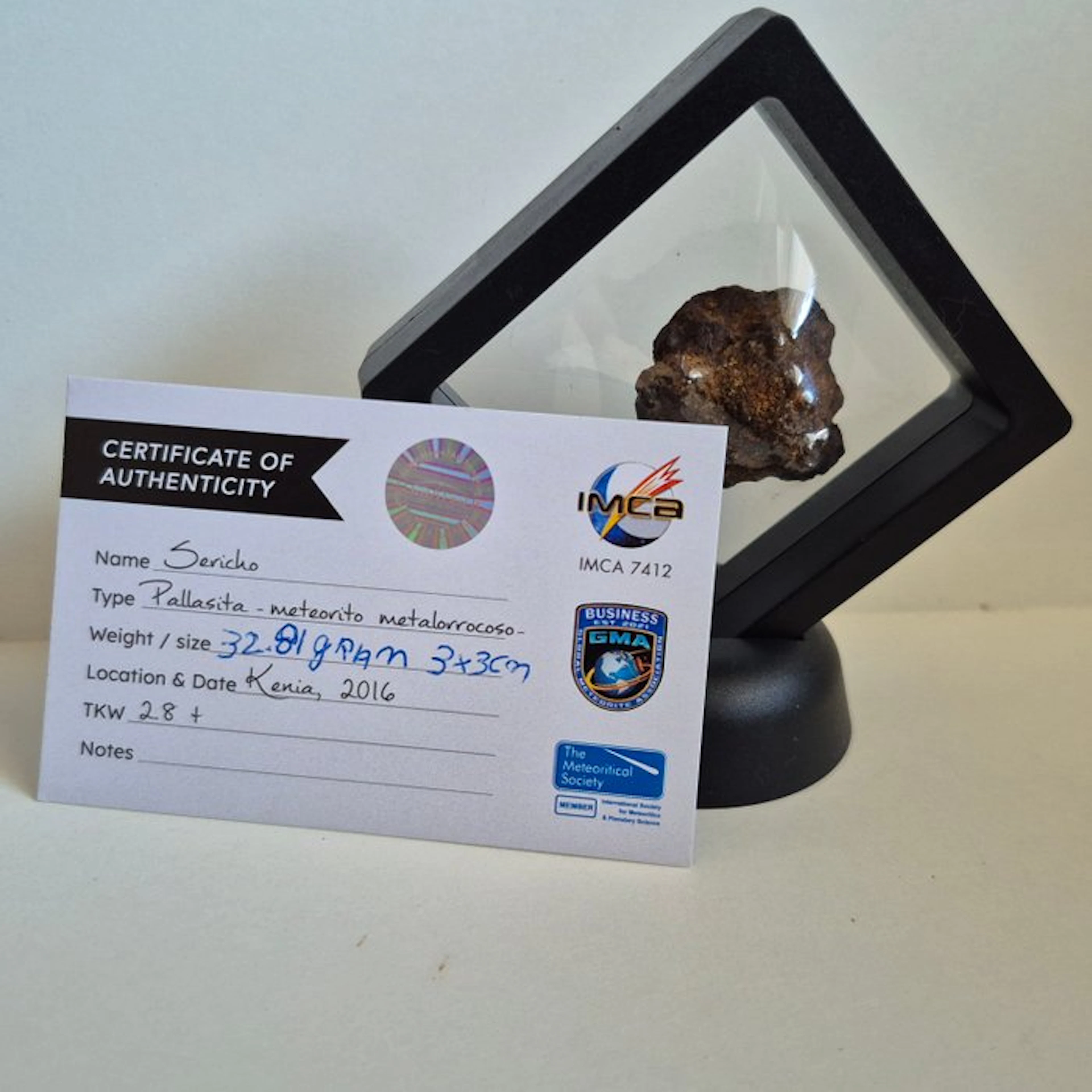 Sericho pallasite meteorite + Certificate of Authenticity...