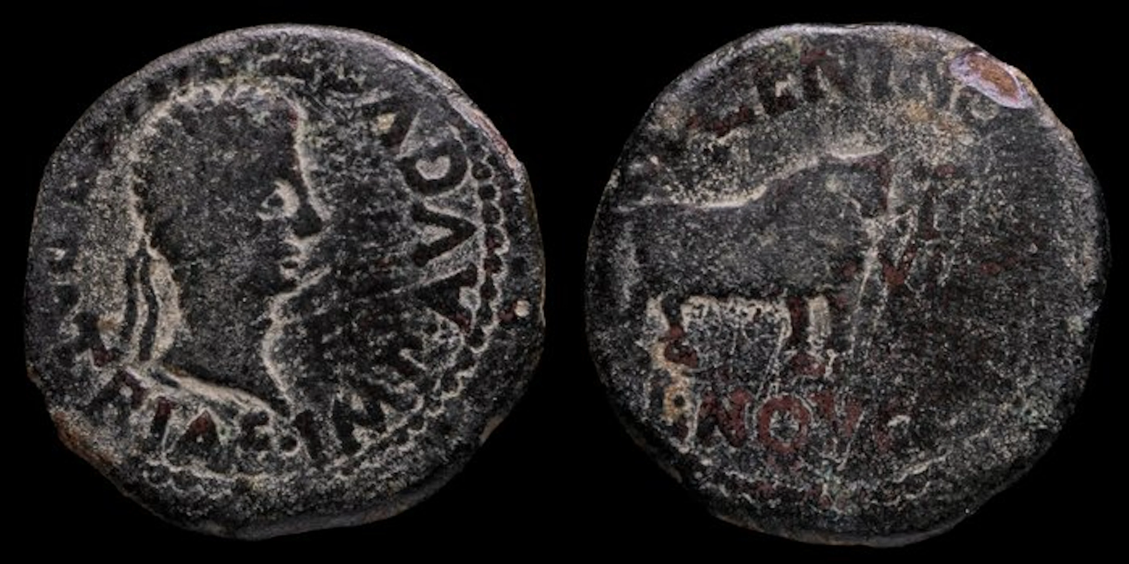 Ibero-Roman. Augustus. As CALAGURRI (Calahorra, La Rioja) (No reserve price)