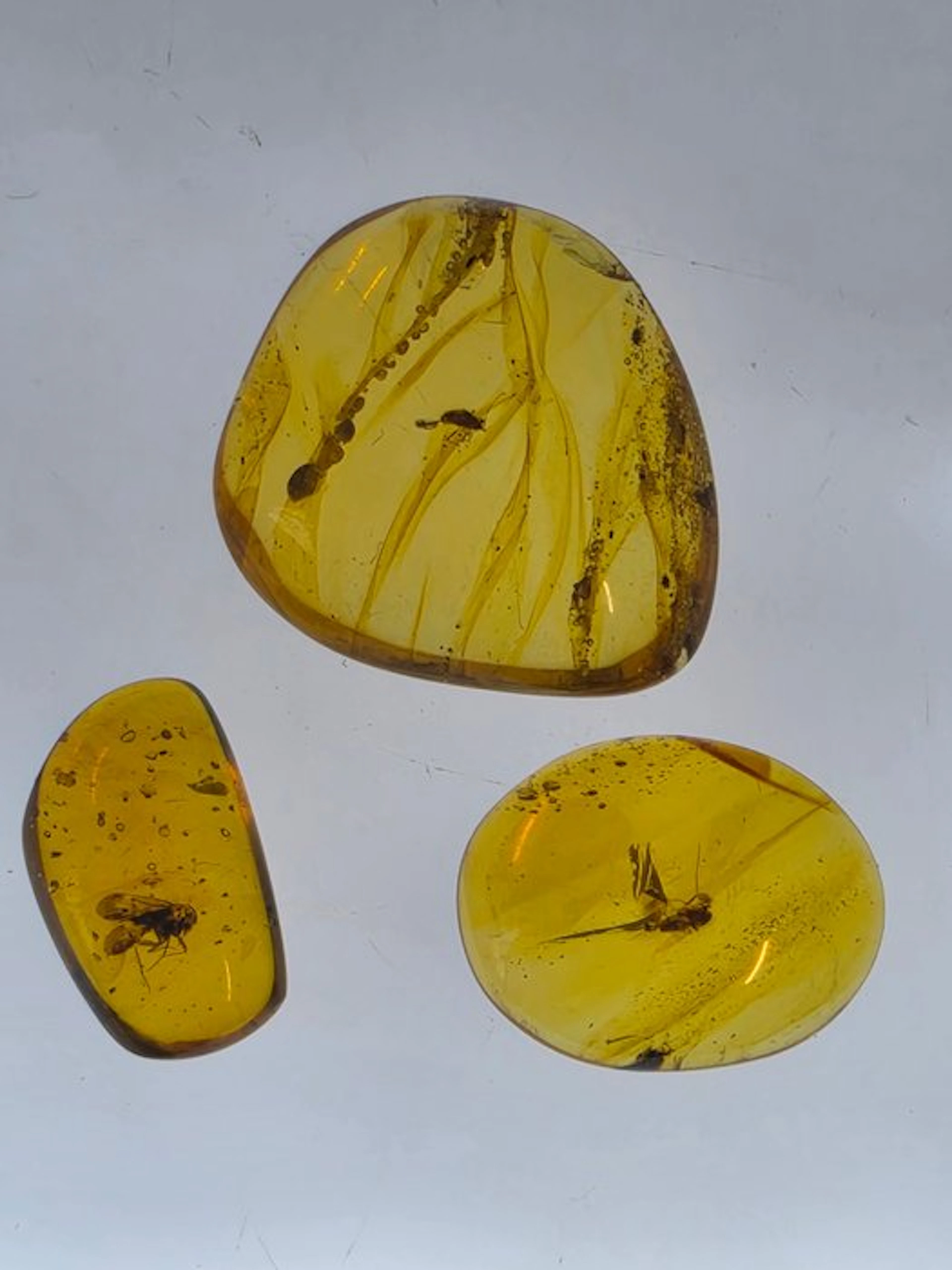 Burmese amber - Amber - Lot of 3 Burmese Amber Pieces...
