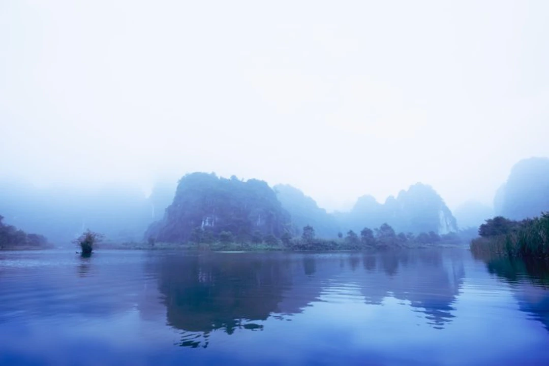 Viet Ha Tran - Misty morning