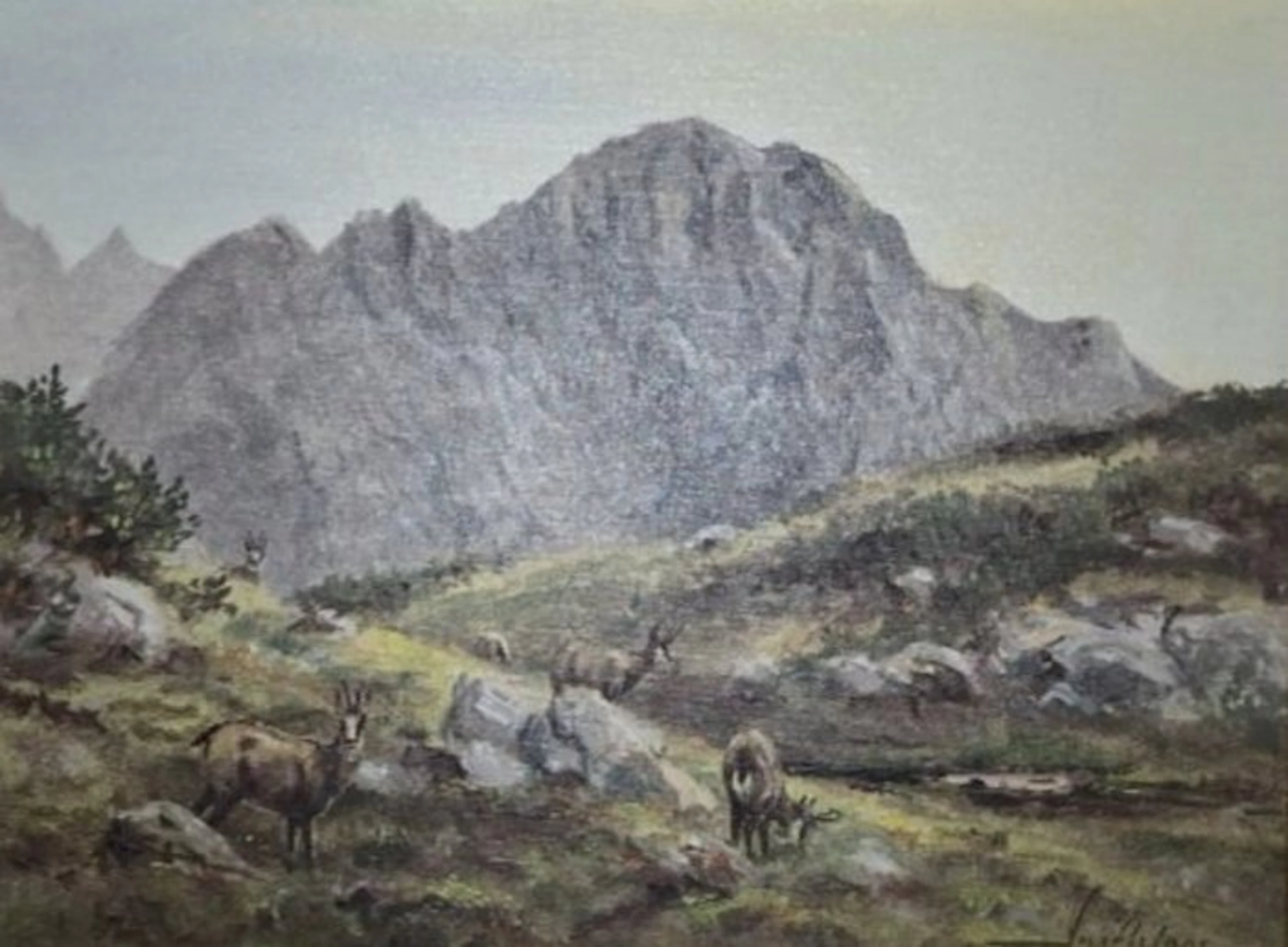 J. Inethlage (XX) - Camosci in alta montagna - NO RESERVE