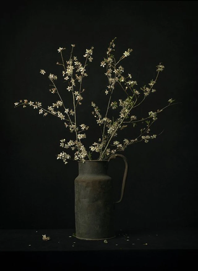 Tessa Posthuma de Boer - Blossom #4