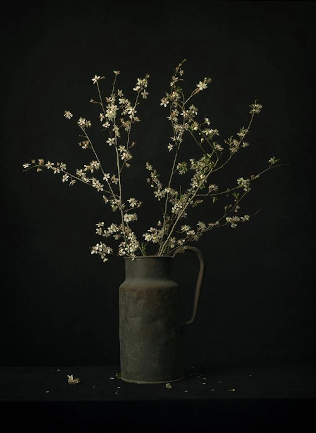 Tessa Posthuma de Boer - Blossom #4