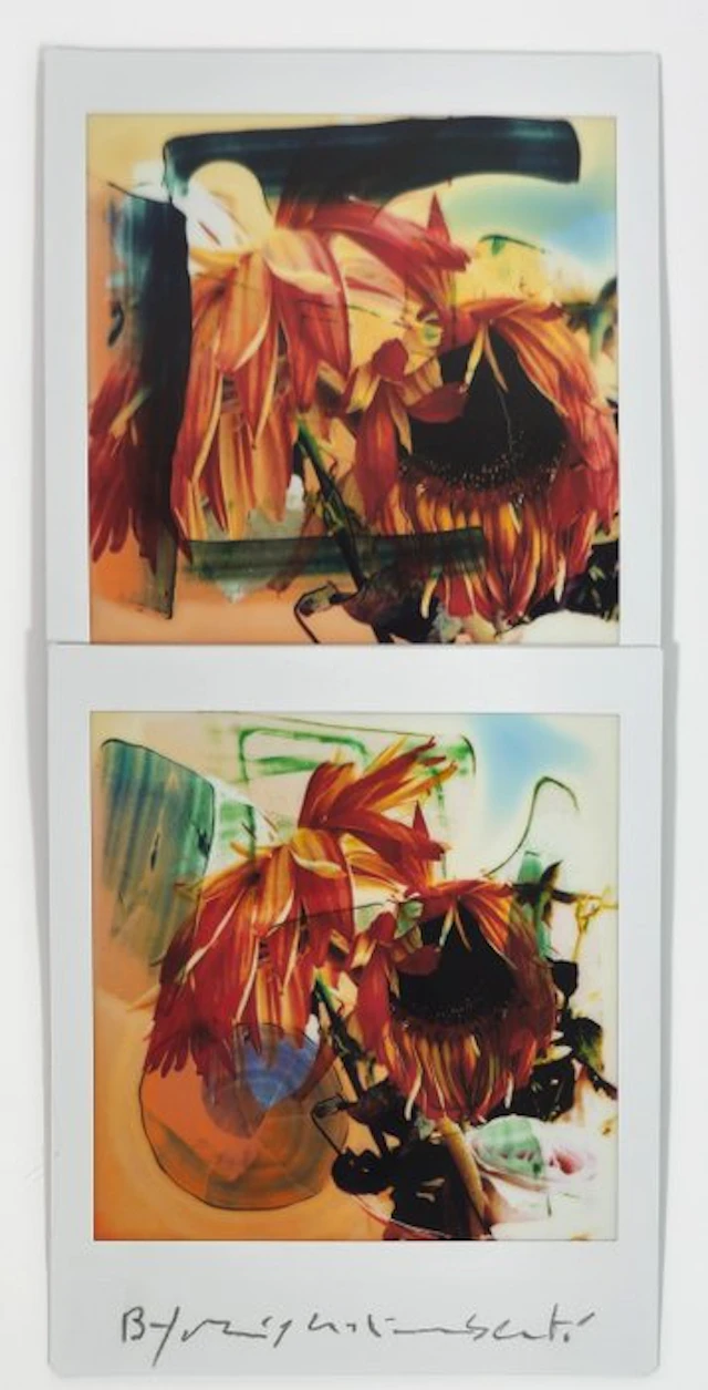 Maurizio Galimberti (1956–) - BiFlowers - 11573