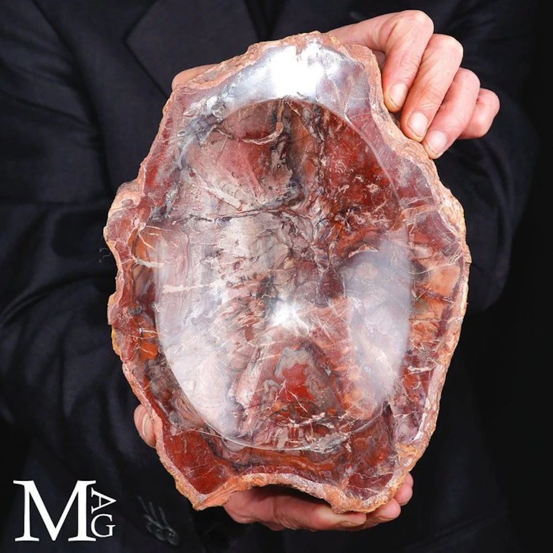 Bowl of bright red petrified wood with a glossy interior and rustic bark