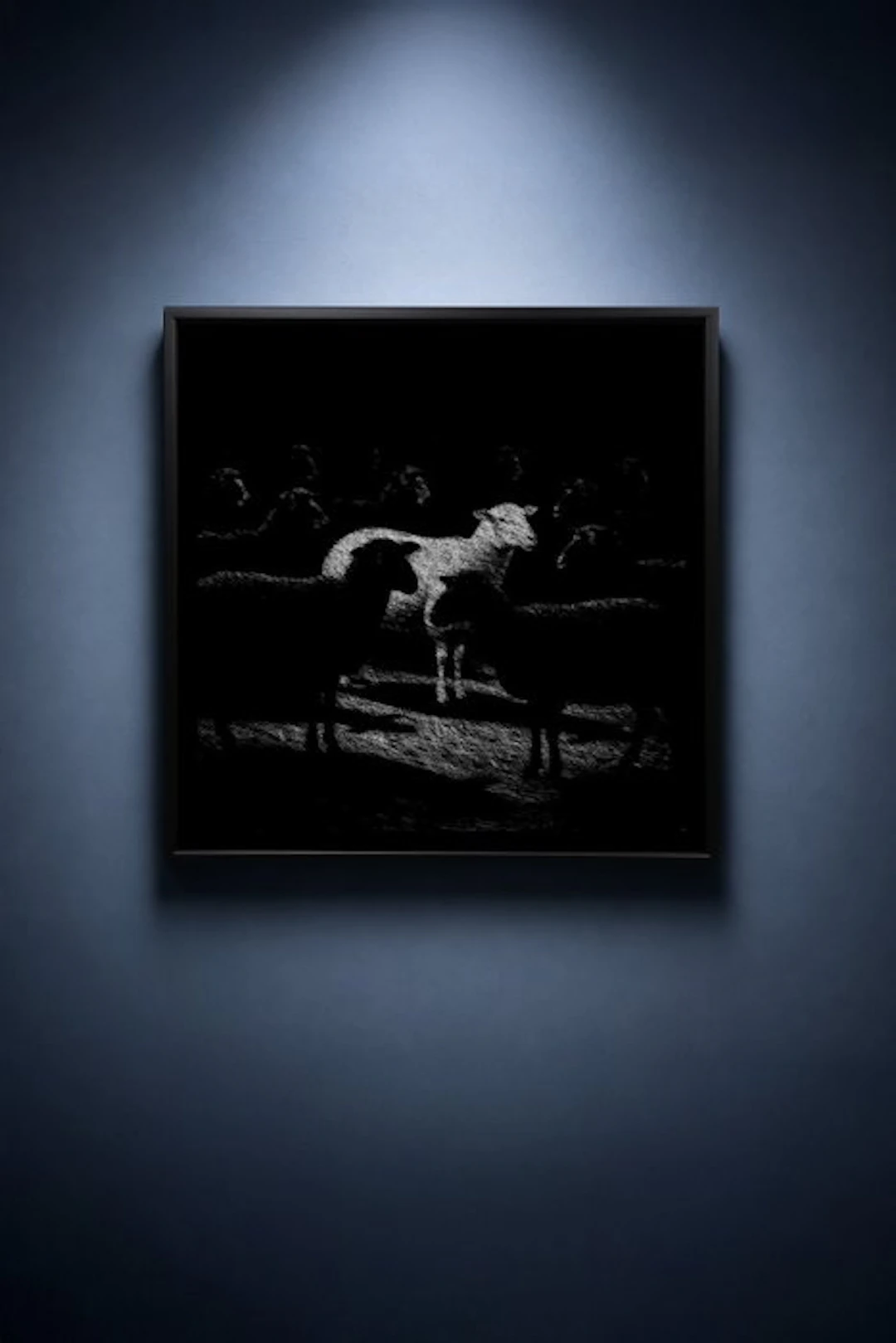 Tijs Dragtsma (1992) - The One Lit Astray