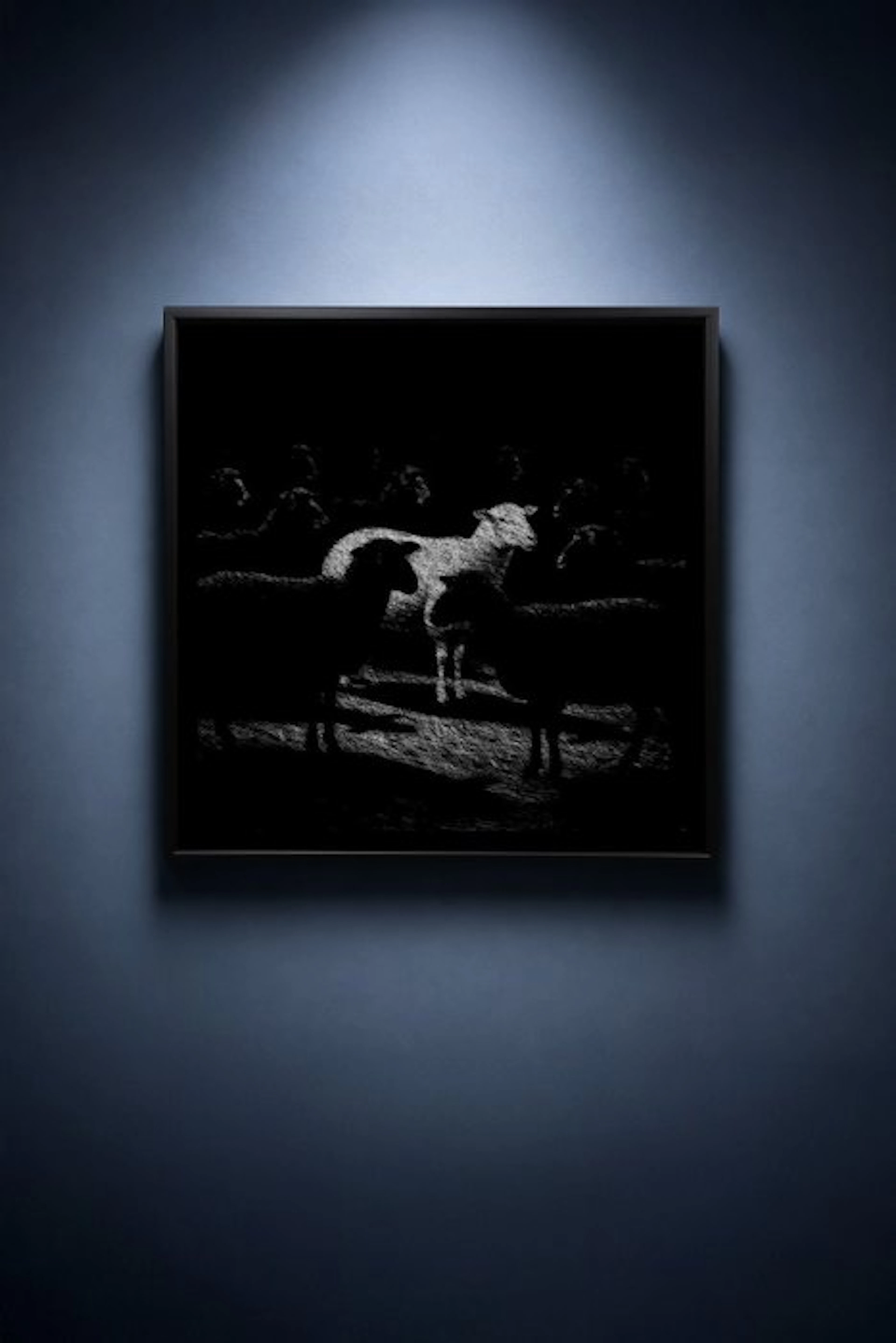 Tijs Dragtsma (1992) - The One Lit Astray