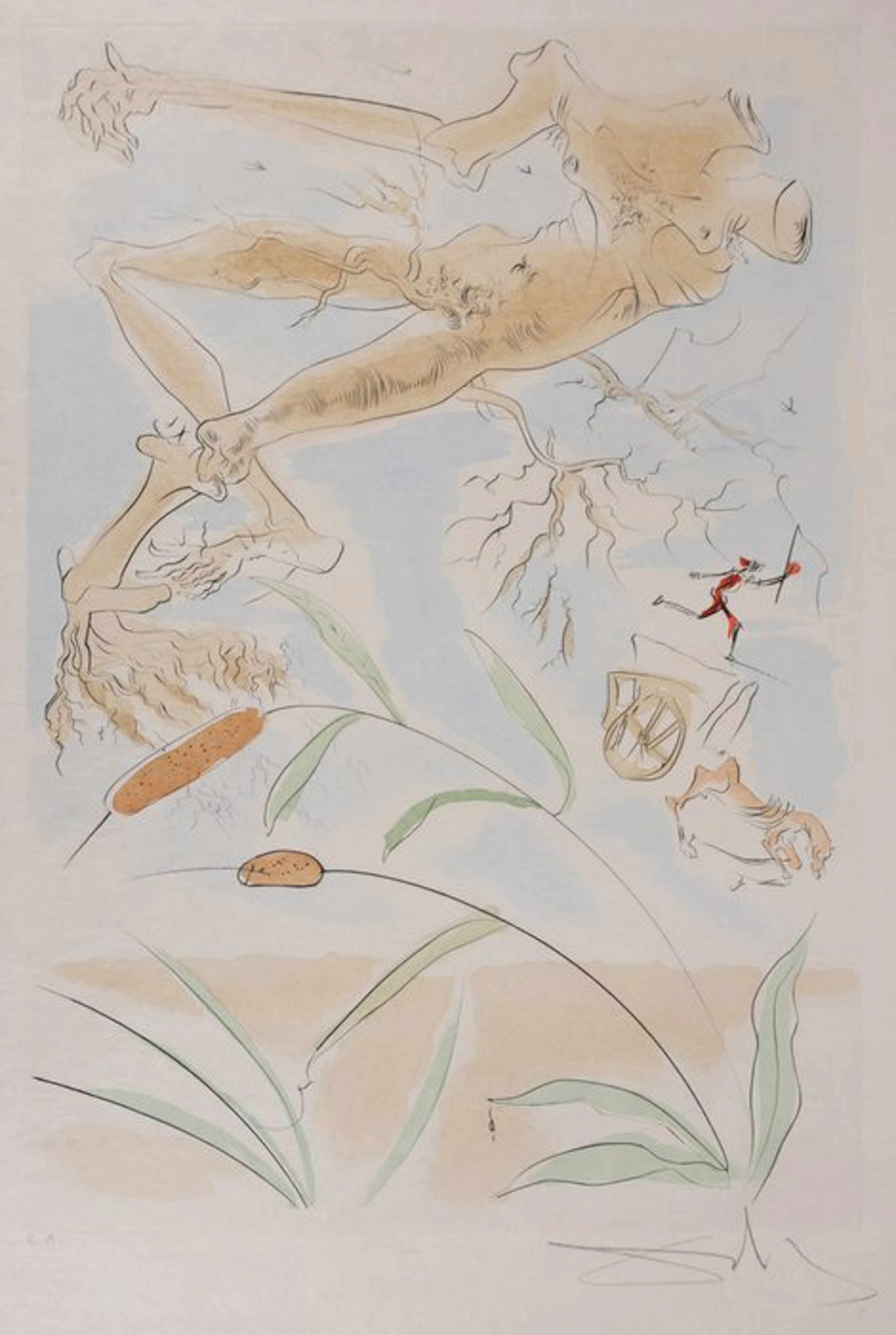 Salvador Dali (1904-1989) - Le Bestiaire de La Fontaine : Le chêne et le roseau