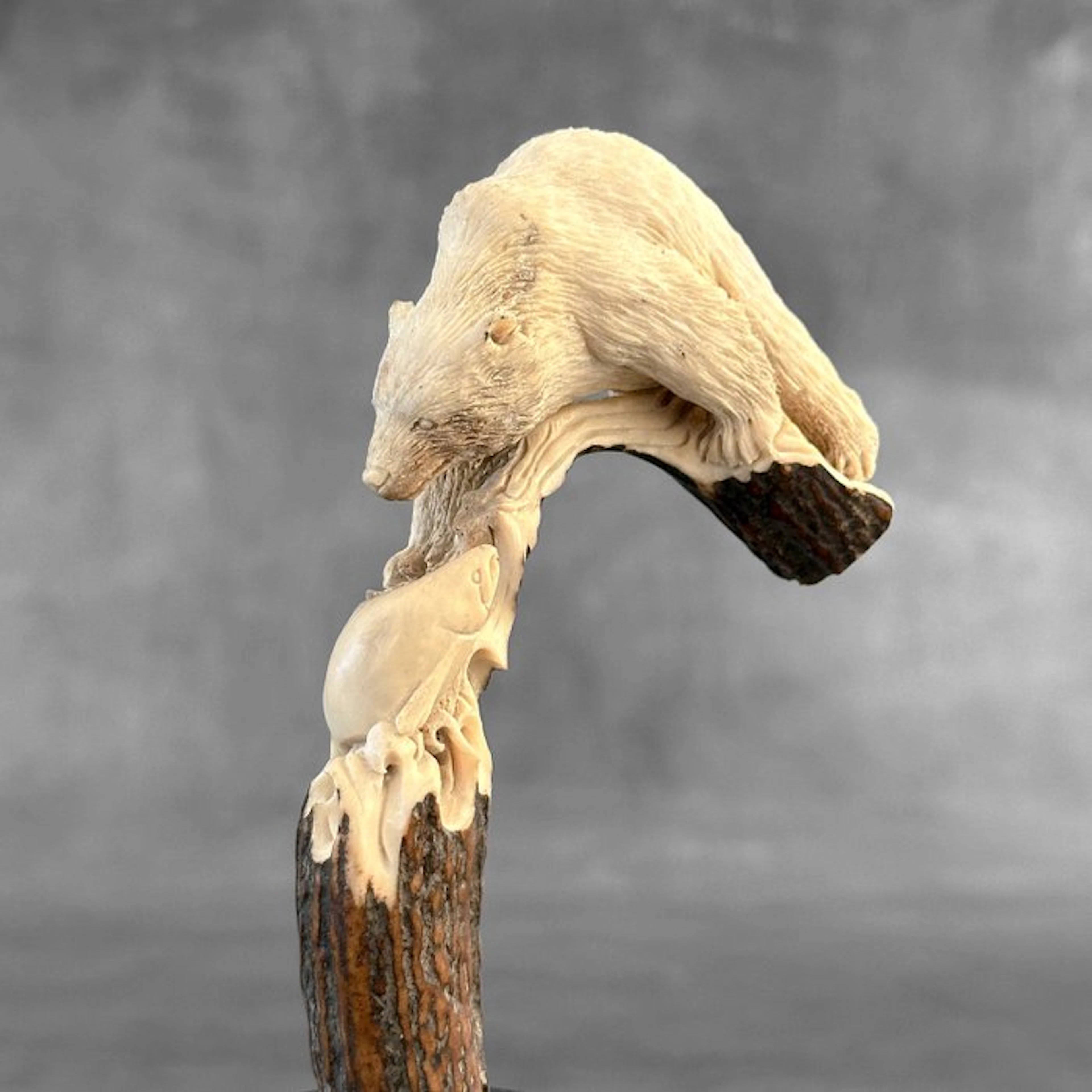 Carving, NO RESERVE PRICE - Stunning Bear carving from...