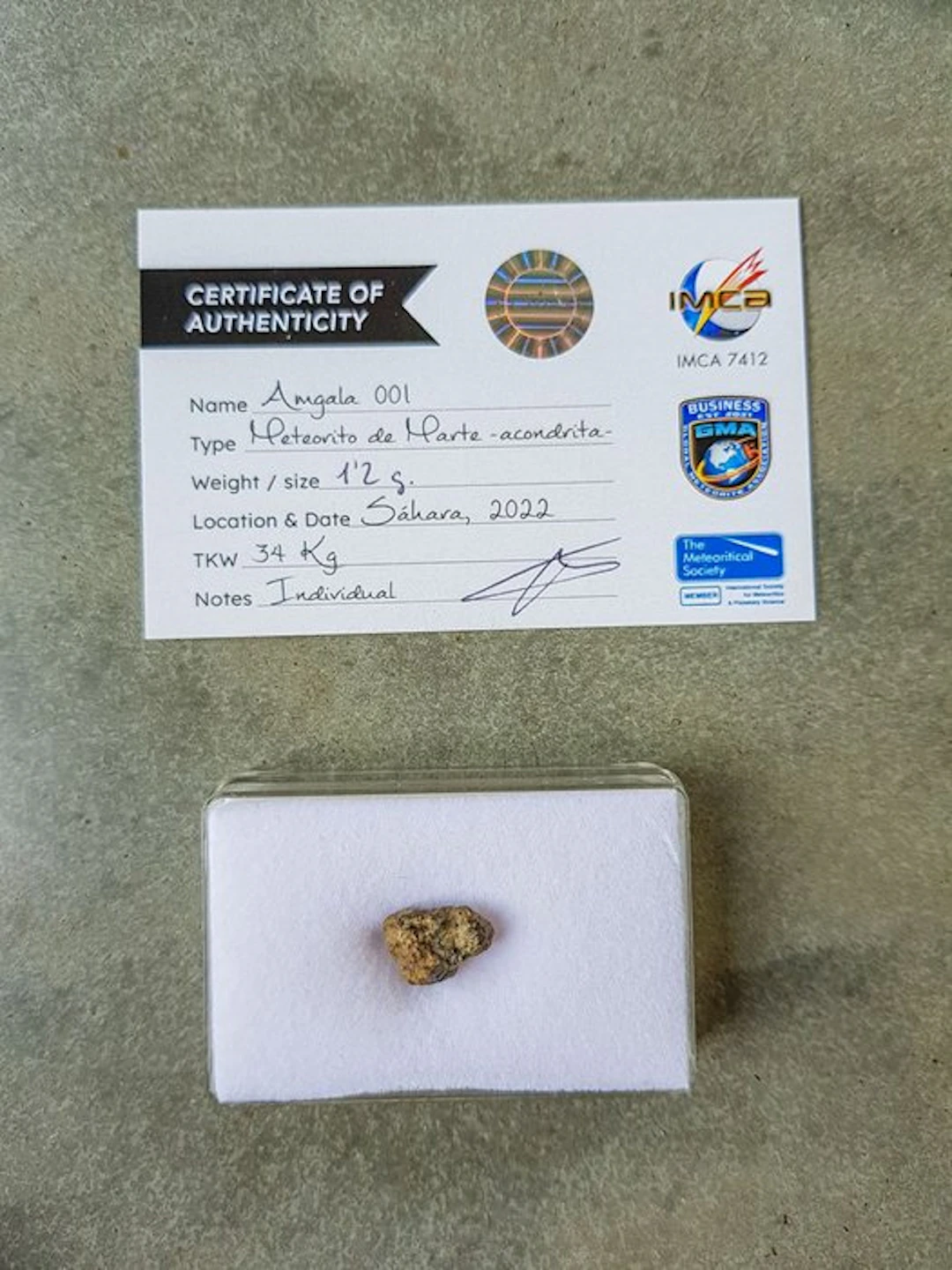 Martian meteorite An official piece of Mars in your...