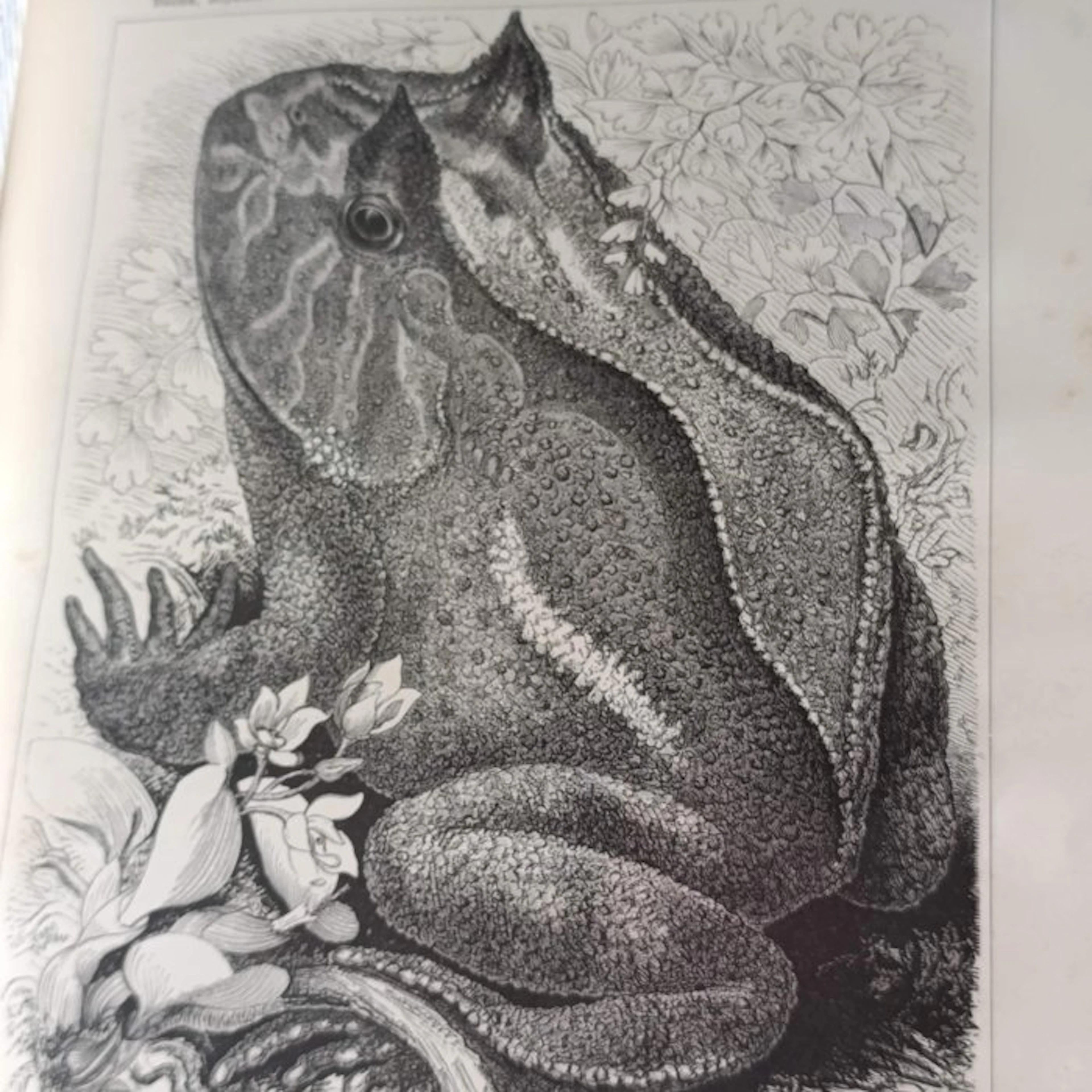A. E. Brehm - Reptiles et batraciens - 1880