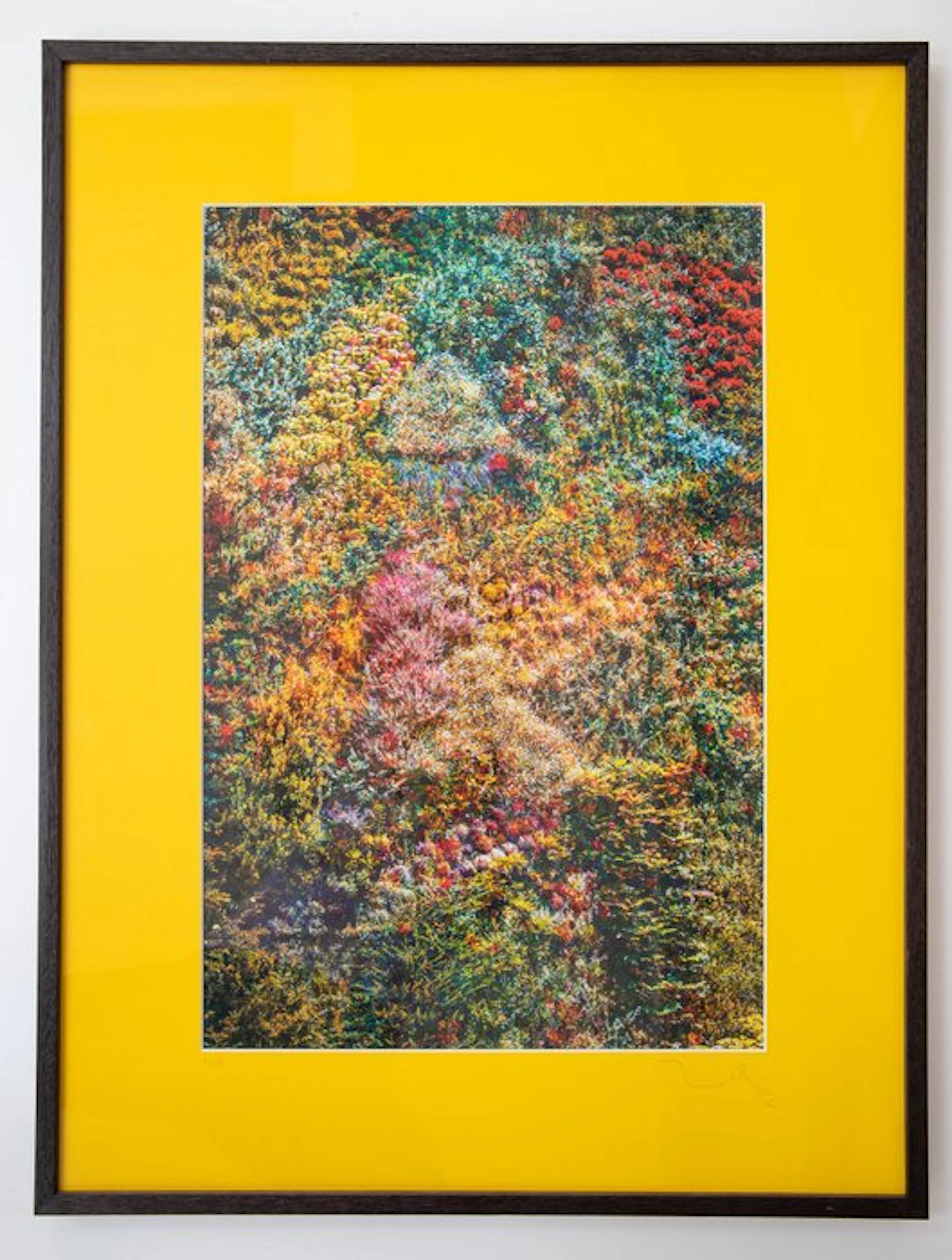 Viet Ha Tran - Wall of Nature I (Unique Framed Fine Art Print)