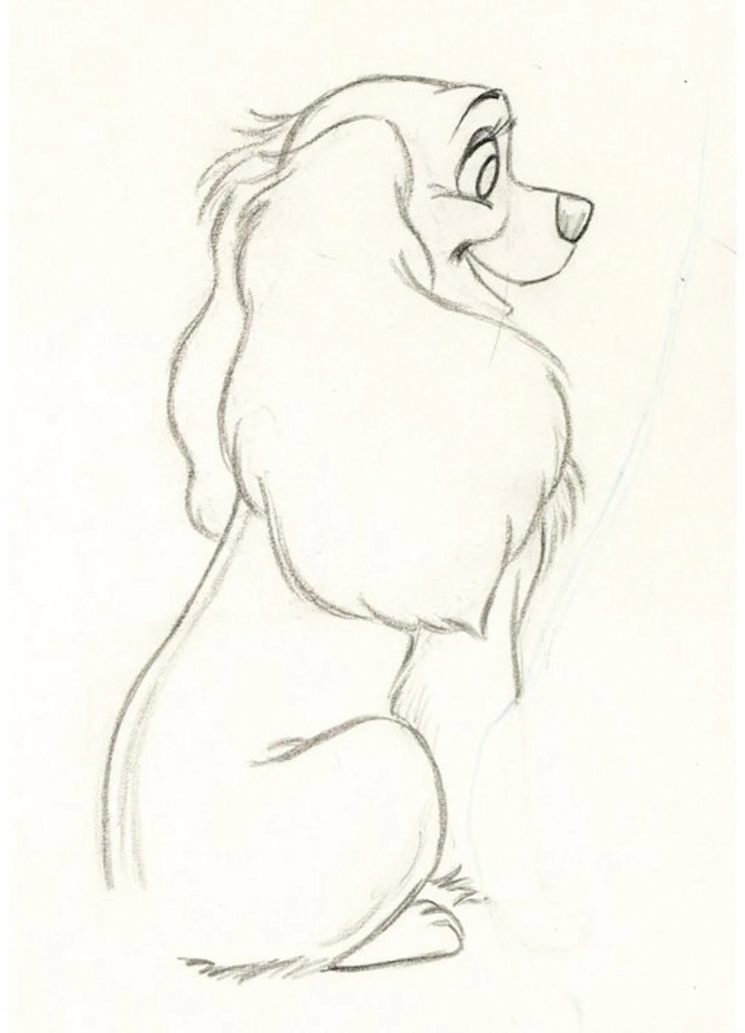 Walt Disney - Lady Animation Drawing - Lady and the Tramp (Walt Disney, 1955)