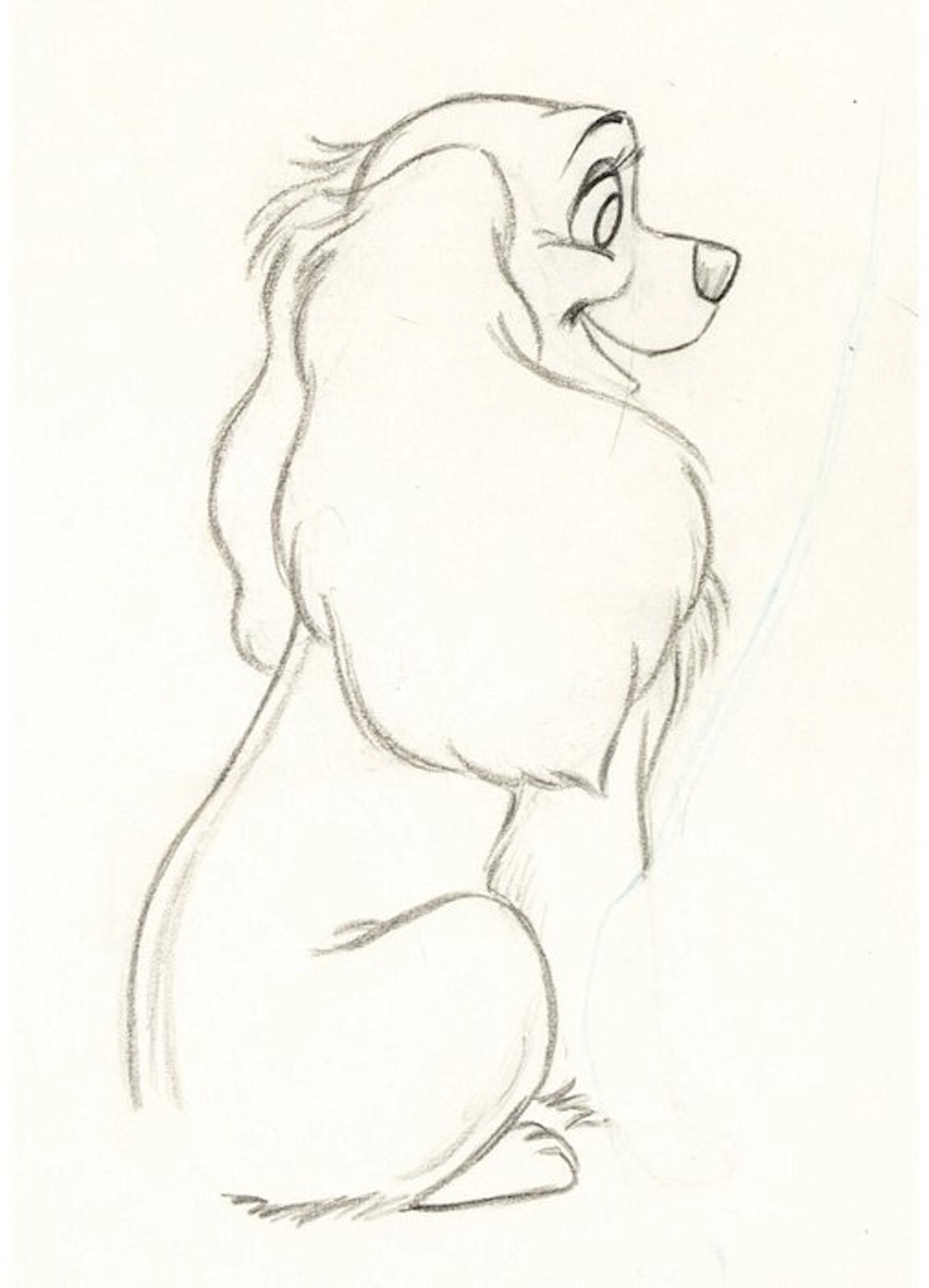 Walt Disney - Lady Animation Drawing - Lady and the Tramp (Walt Disney, 1955)