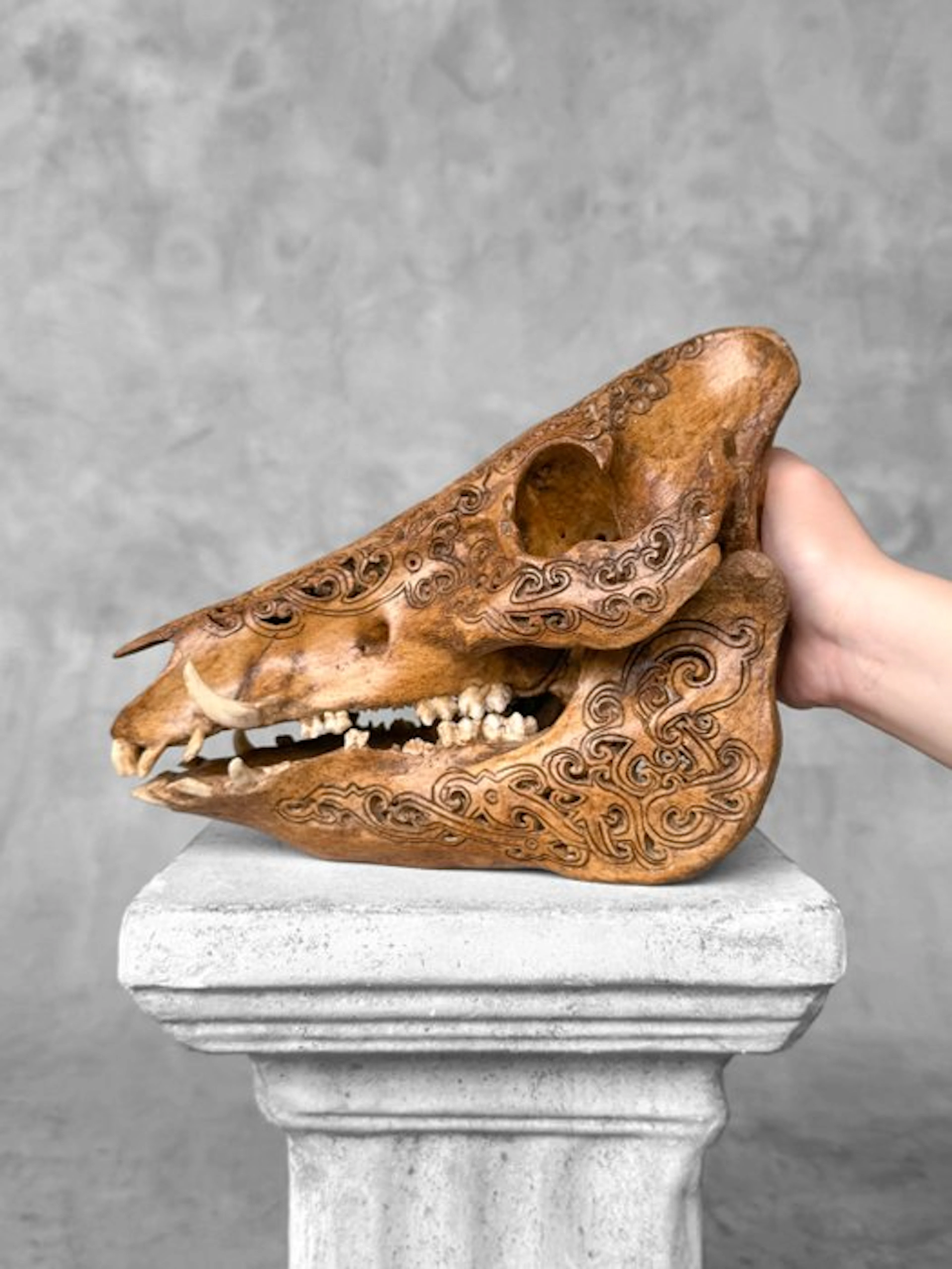 NO RESERVE PRICE -Authentic Brown Hand-Carved Wild Boar...